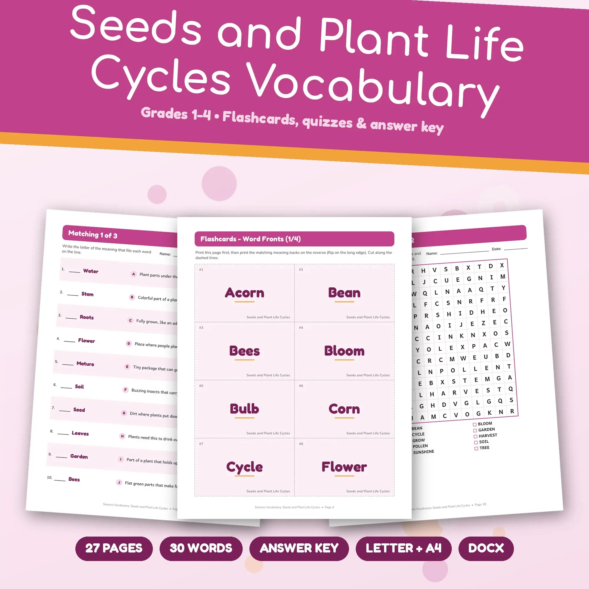 Seeds and Plant Life Cycles Vocabulary Practice Pack Grades 1-4 - 27 Printable Pages + Key preview
