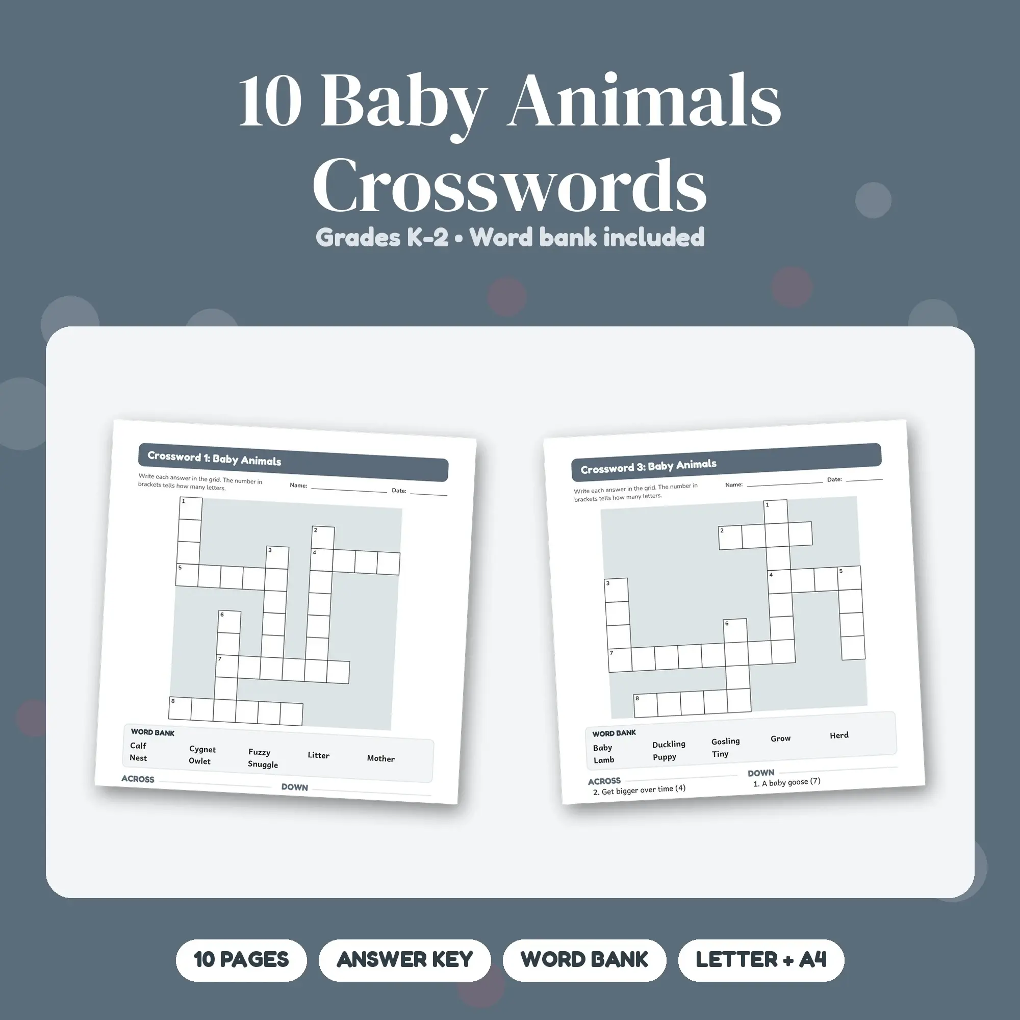 Baby Animals Crossword Puzzles with Word Bank: 10 Pages, Grades K-2, preview 1 of 2