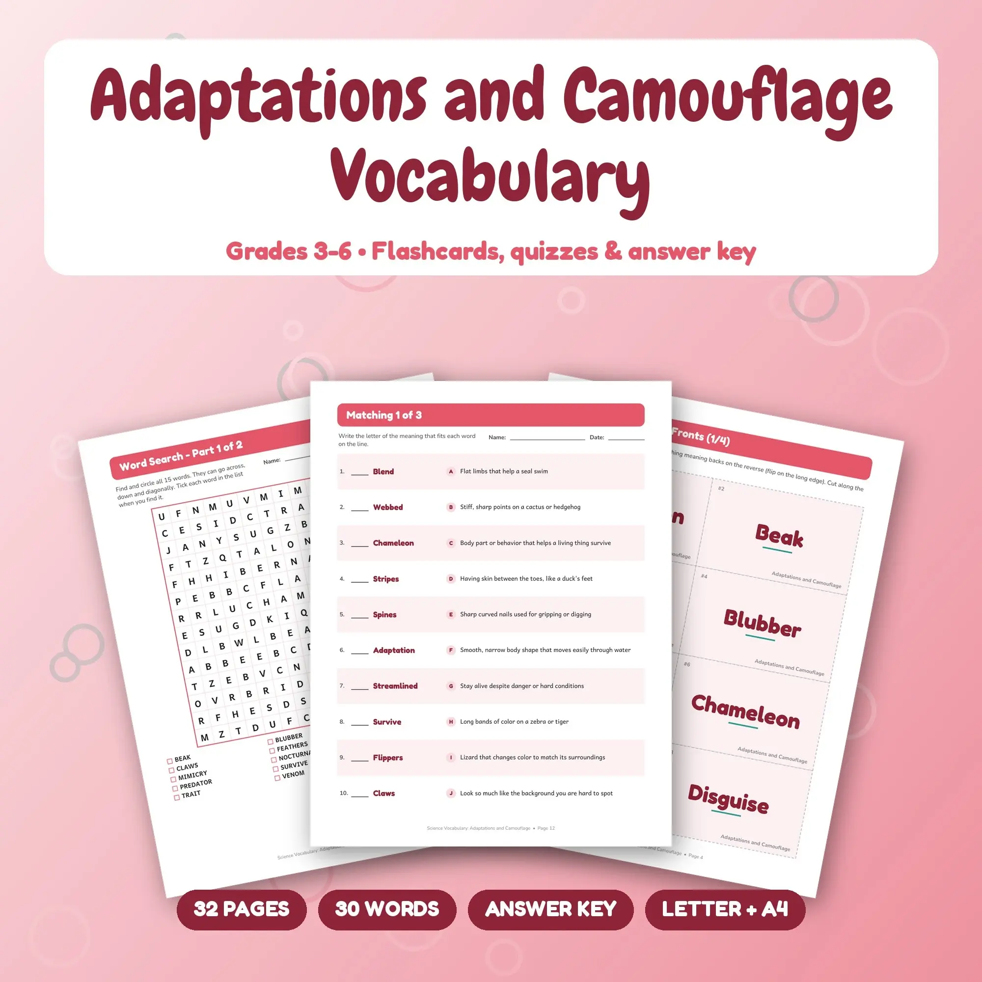 Adaptations and Camouflage Vocabulary Study Set - Flashcards, Quizzes & Word Search, Grades 3-6 preview