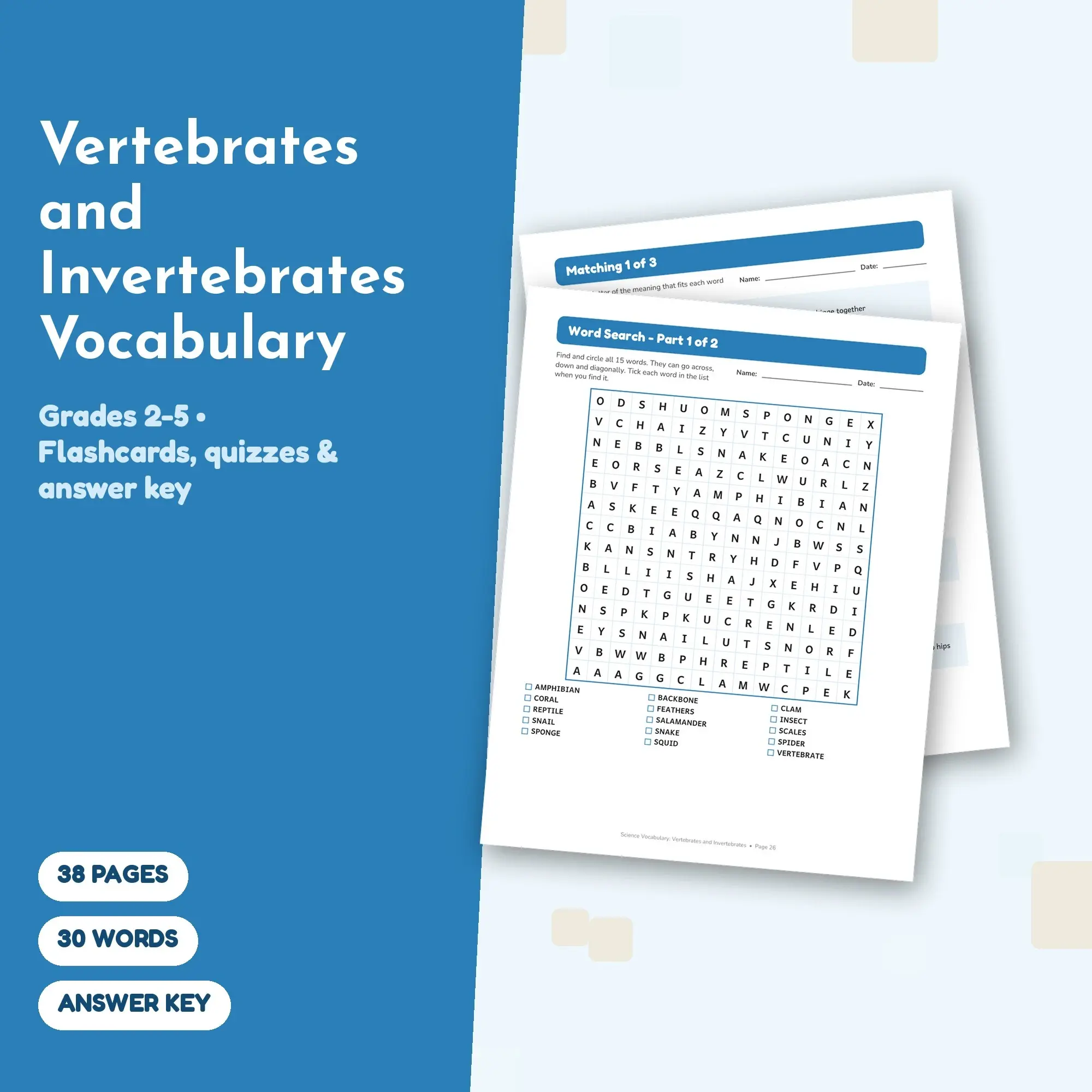 Science Vocabulary: Vertebrates and Invertebrates - Flashcards, Matching & Quizzes, Grades 2-5 preview