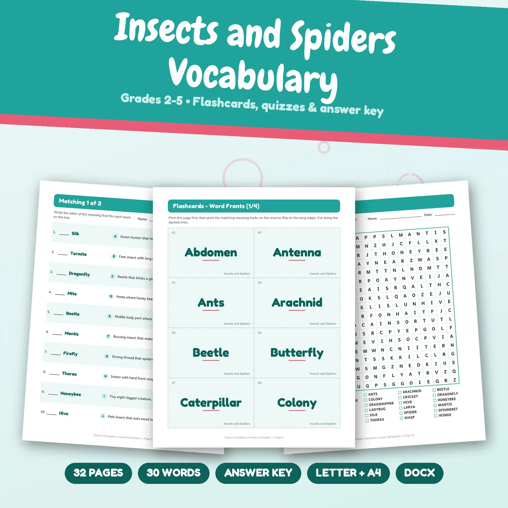 Science Vocabulary: Insects and Spiders - Flashcards, Matching & Quizzes, Grades 2-5 preview