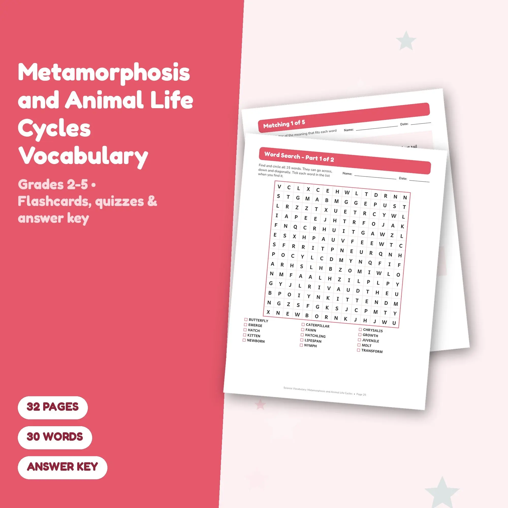 Metamorphosis and Animal Life Cycles Vocabulary Practice Pack Grades 2-5 - 32 Printable Pages + Key, preview 1 of 2