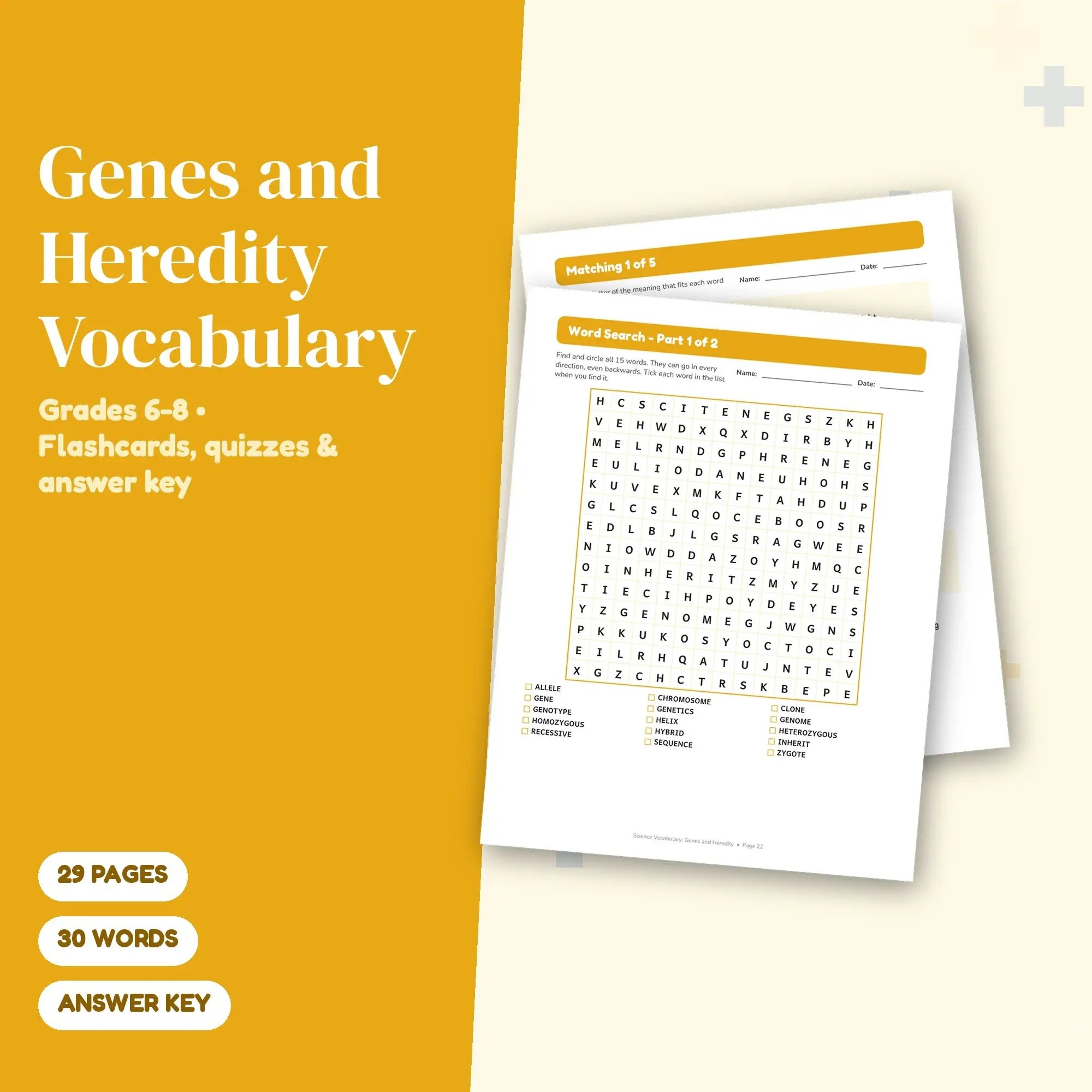 Genes and Heredity Vocabulary Practice Pack Grades 6-8 - 29 Printable Pages + Key preview