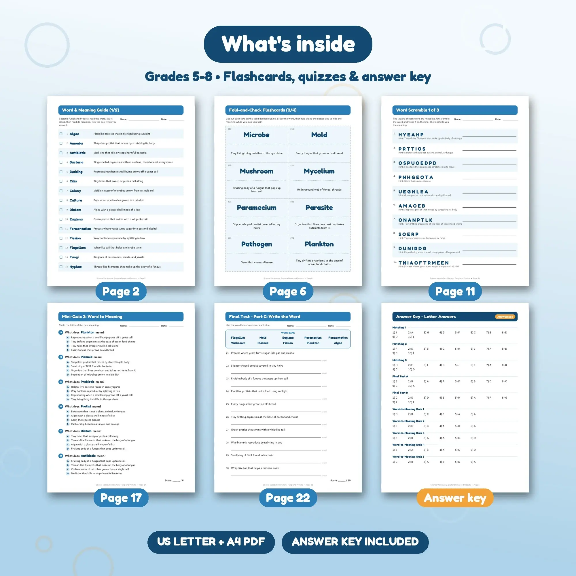 Bacteria Fungi and Protists Word List, Flashcards & Vocabulary Quizzes (Grades 5-8) - 22 Pages, preview 2 of 2