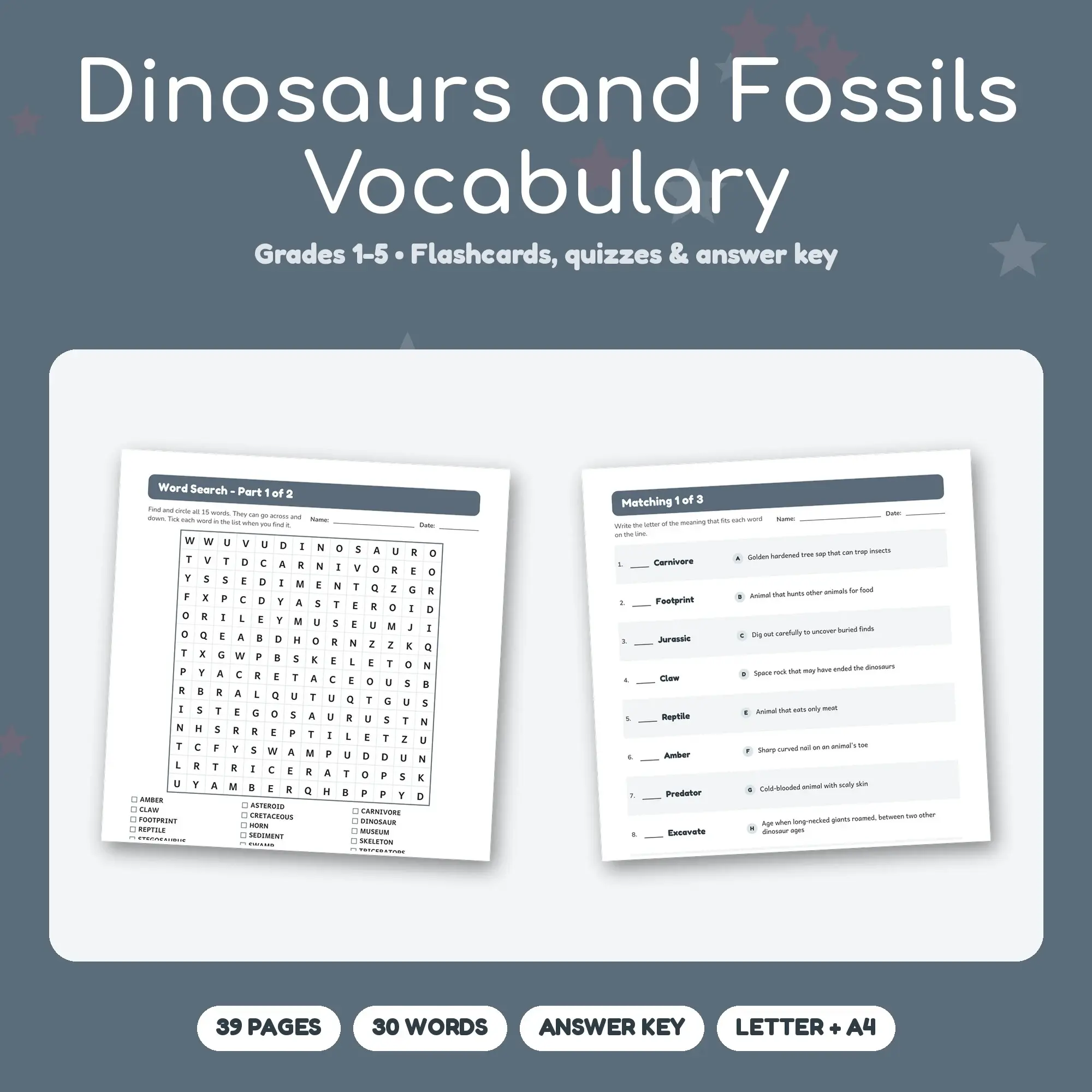 39-Page Dinosaurs and Fossils Vocabulary Pack: 30 Words, Matching, Quizzes (Grades 1-5) preview