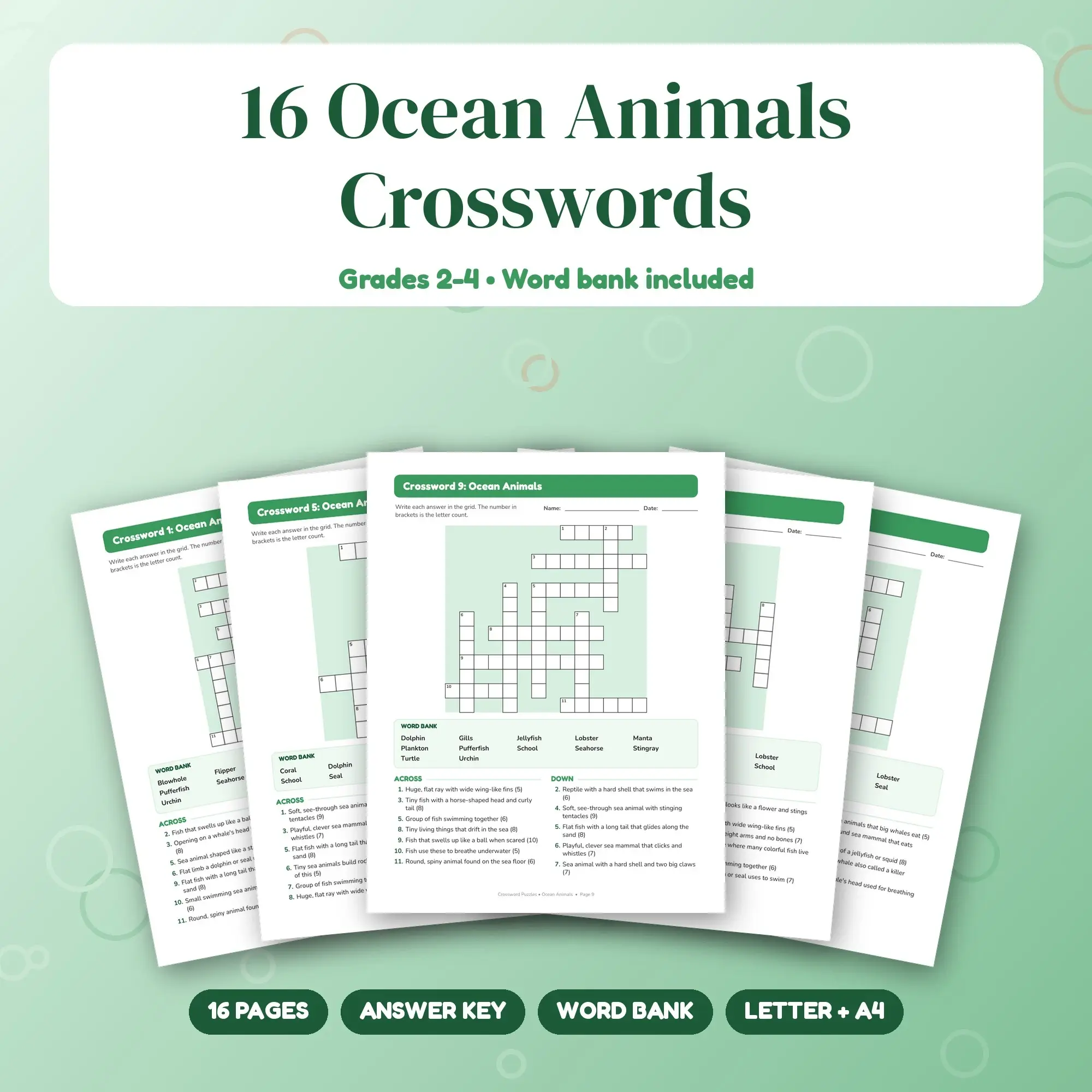 16 Ocean Animals Crosswords for Grades 2-4 - Print and Solve, Answer Key preview