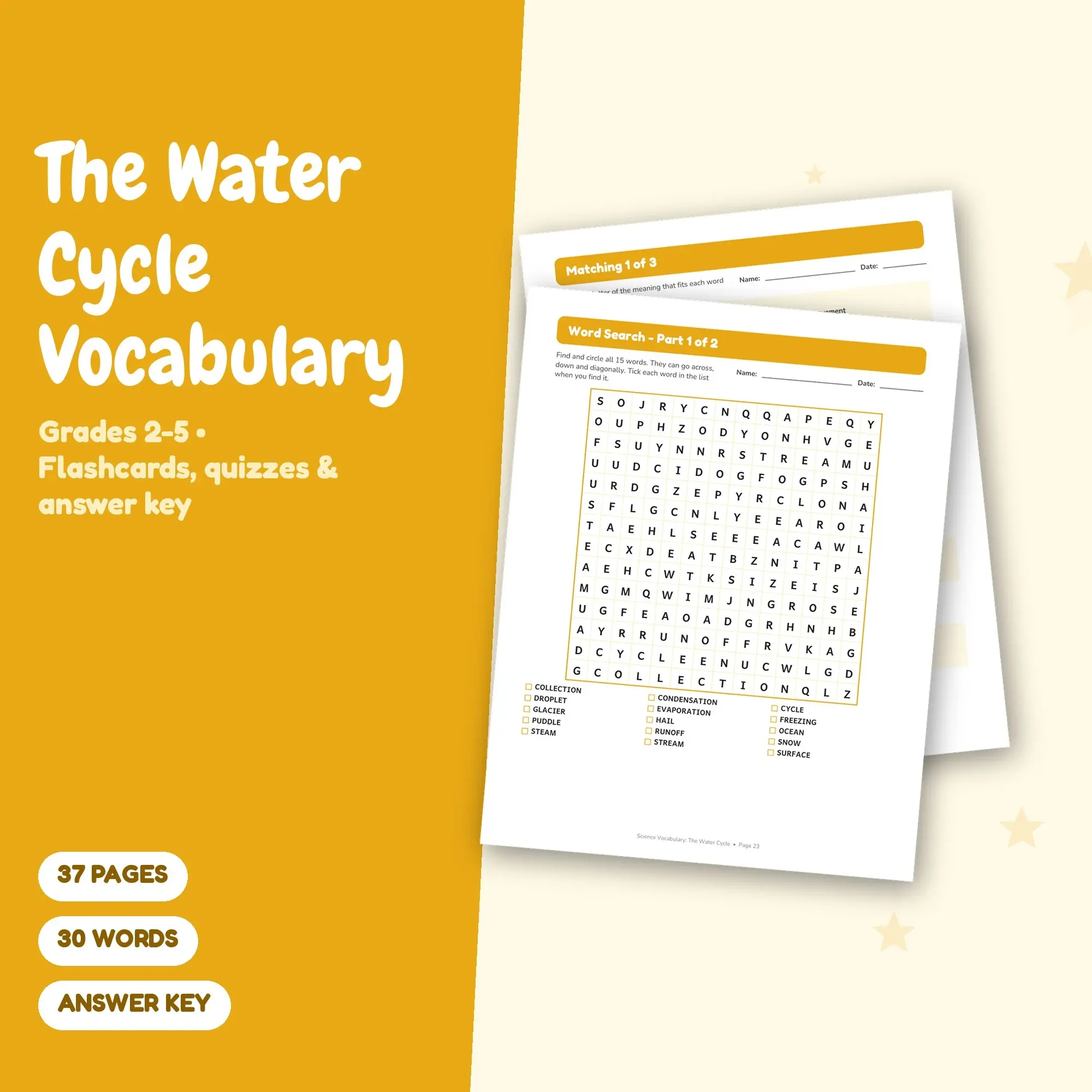 37-Page The Water Cycle Vocabulary Pack: 30 Words, Matching, Quizzes (Grades 2-5) preview