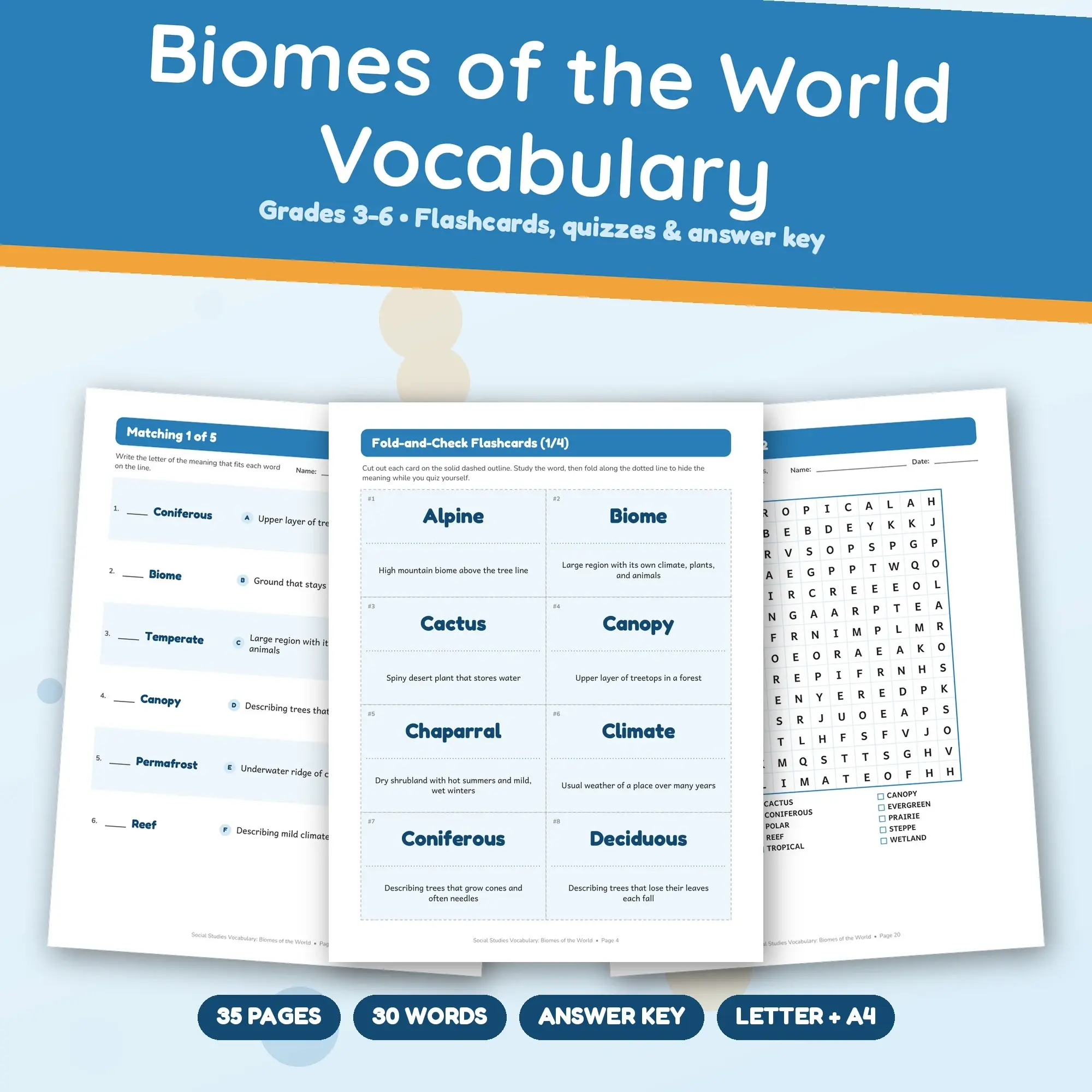 Social Studies Vocabulary: Biomes of the World - Flashcards, Matching & Quizzes, Grades 3-6 preview