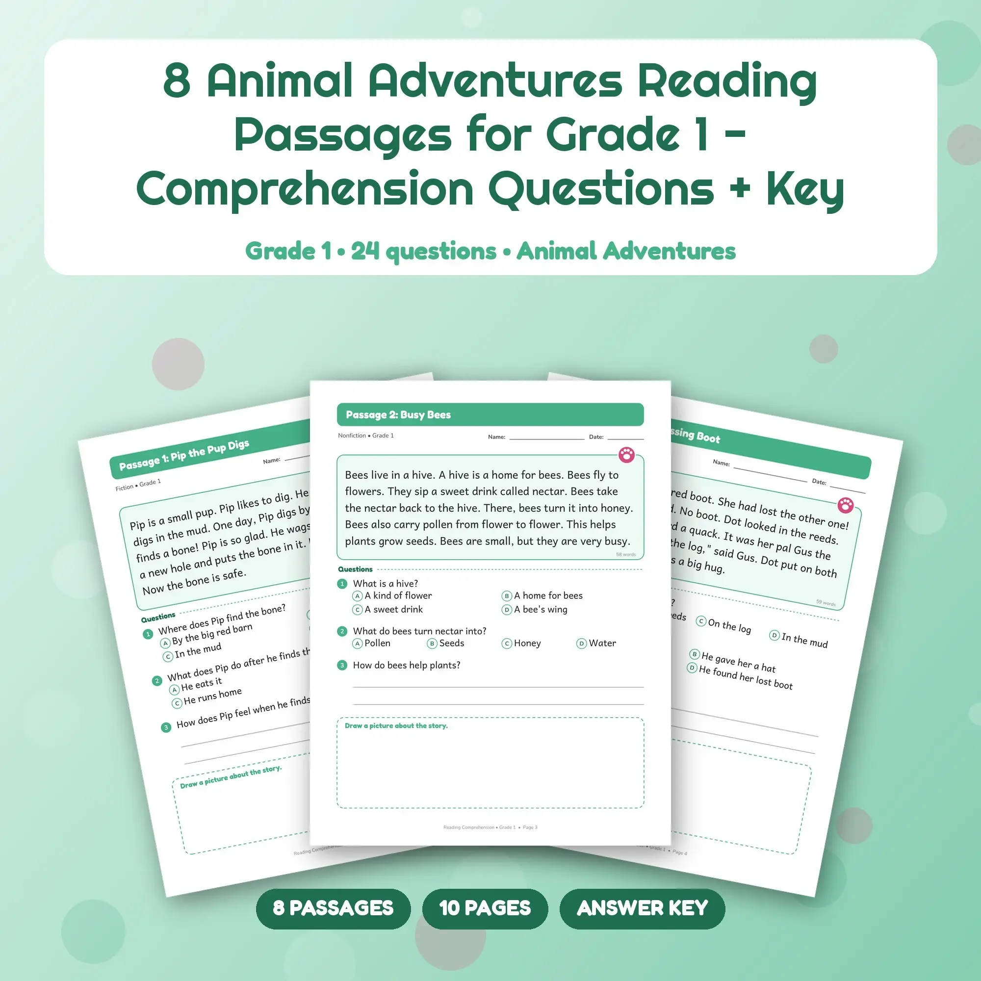 8 Animal Adventures Reading Passages for Grade 1 - Comprehension Questions + Key preview