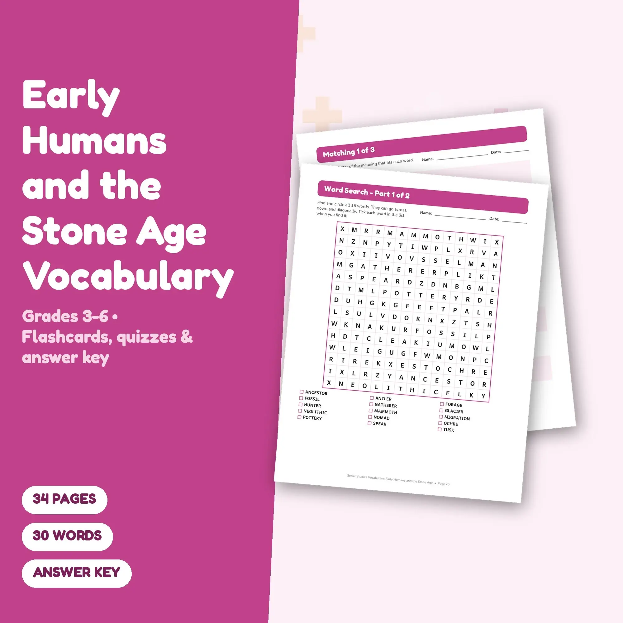 30 Early Humans and the Stone Age Vocabulary Words - Printable Study Set, Grades 3-6, Answer Key preview