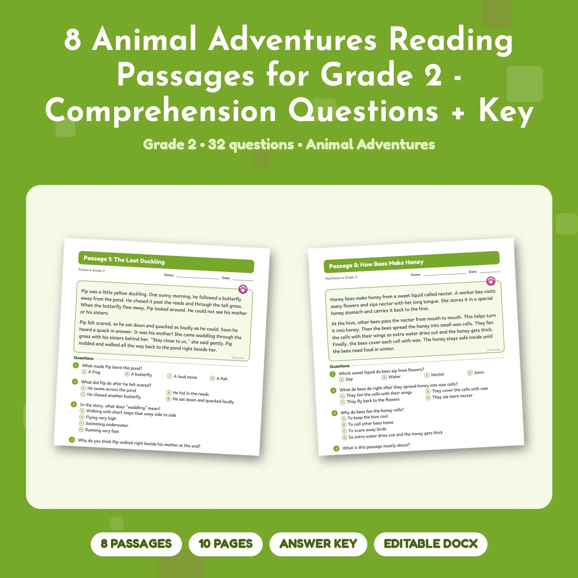 8 Animal Adventures Reading Passages for Grade 2 - Comprehension Questions + Key preview