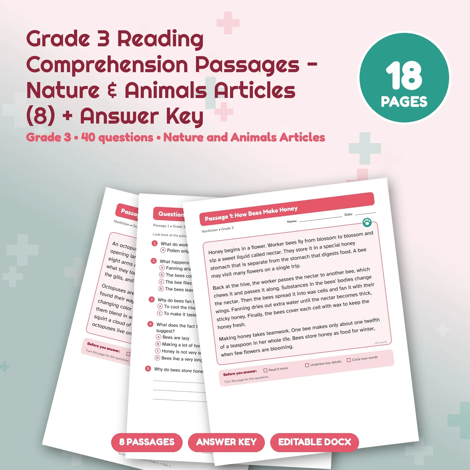 Grade 3 Reading Comprehension Passages - Nature & Animals Articles (8) + Answer Key preview