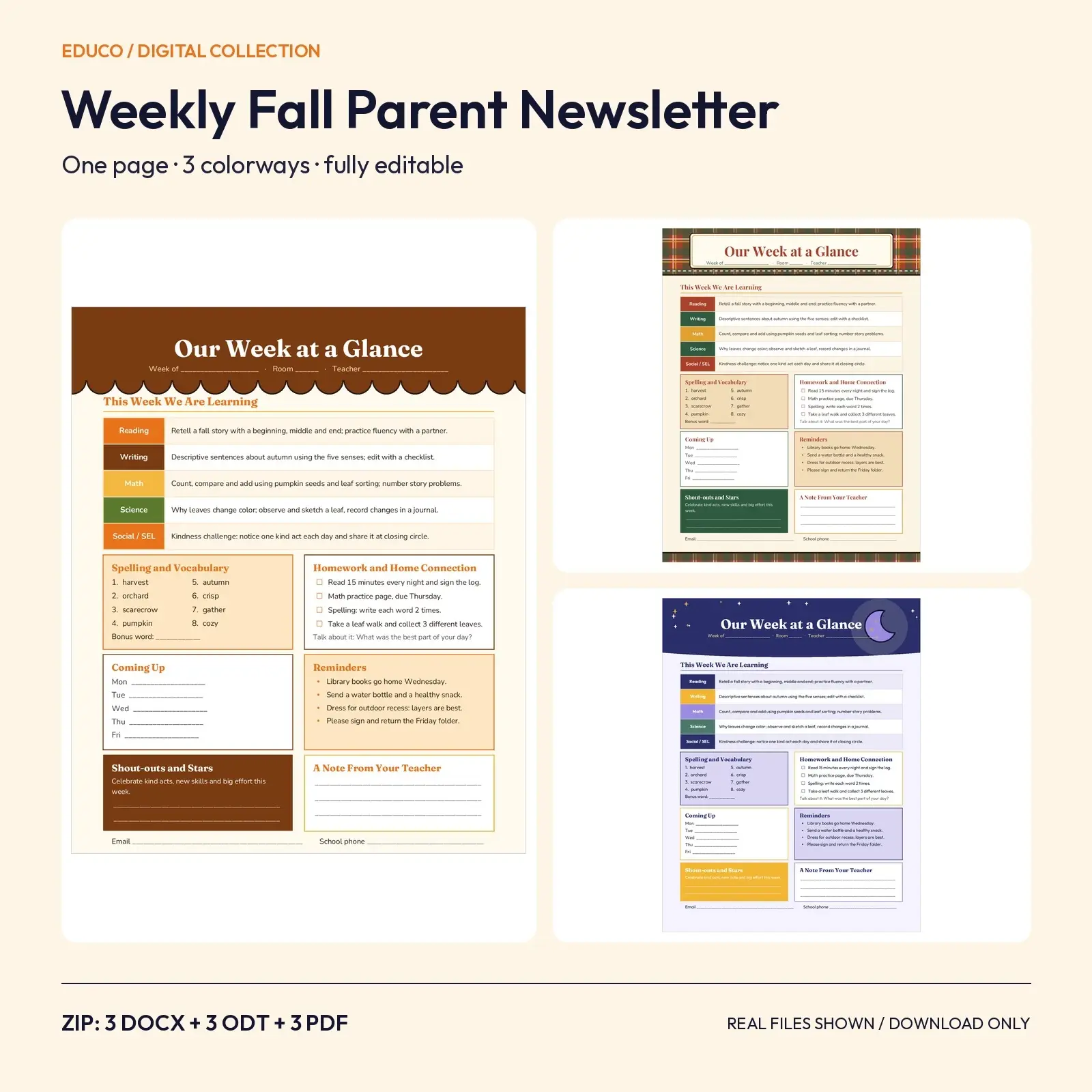Weekly Fall Parent Newsletter: One-Page Editable Template in 3 Colorways (DOCX, ODT and PDF) preview