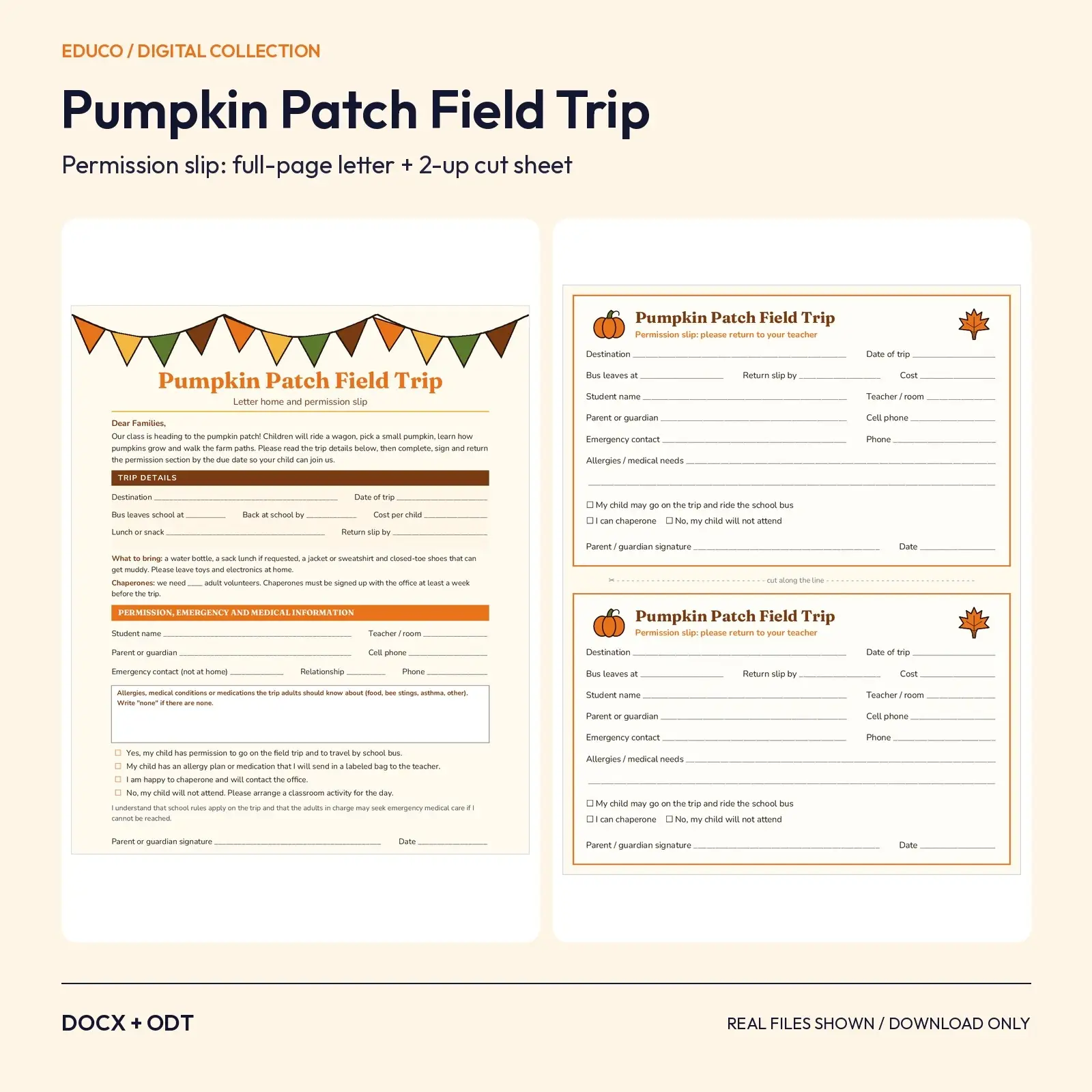 Pumpkin Patch Field Trip Permission Slip – Full-Page Letter and 2-Up Cut Sheet (DOCX and ODT) preview