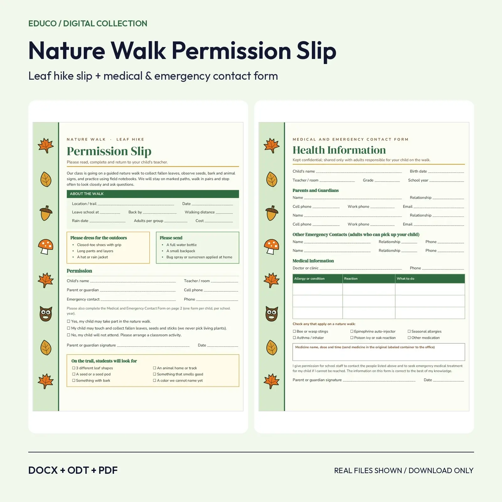 Nature Walk and Leaf Hike Permission Slip with Medical and Emergency Contact Form (DOCX, ODT, PDF) preview