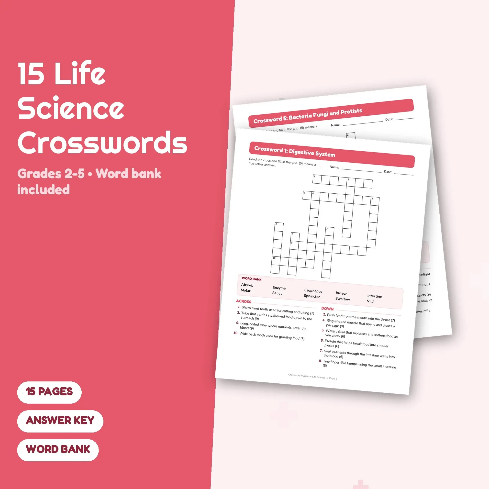 Life Science Crossword Pack: 15 Printable Puzzles, Grades 2-5, Answer Key preview