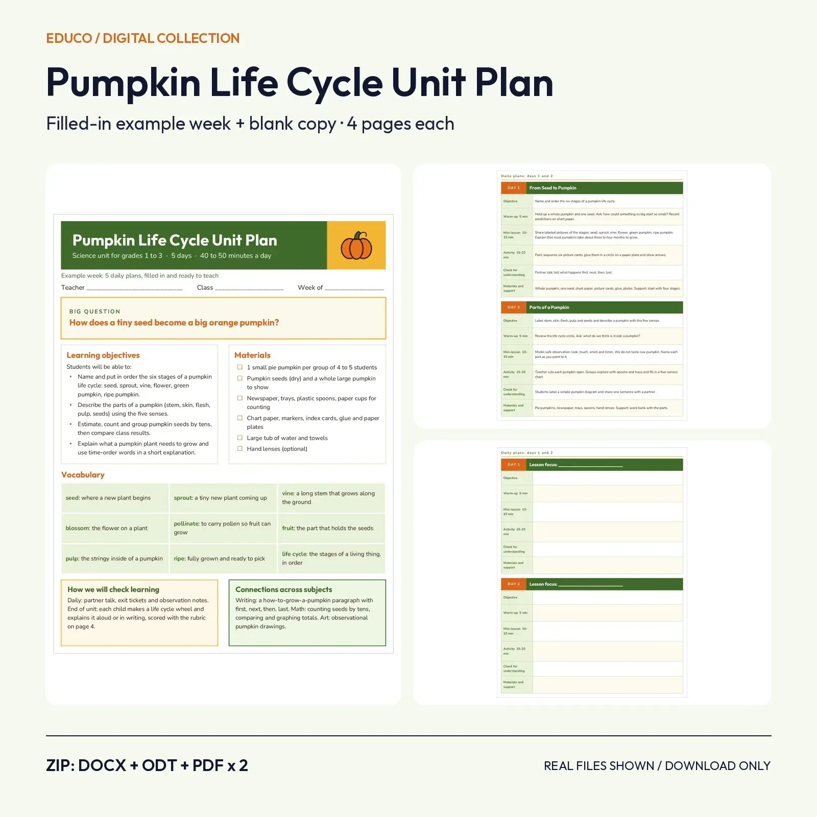 Pumpkin Life Cycle Science Unit Plan, Grades 1-3: Filled-In 5-Day Example Plus Blank Copy (DOCX, ODT, PDF) preview