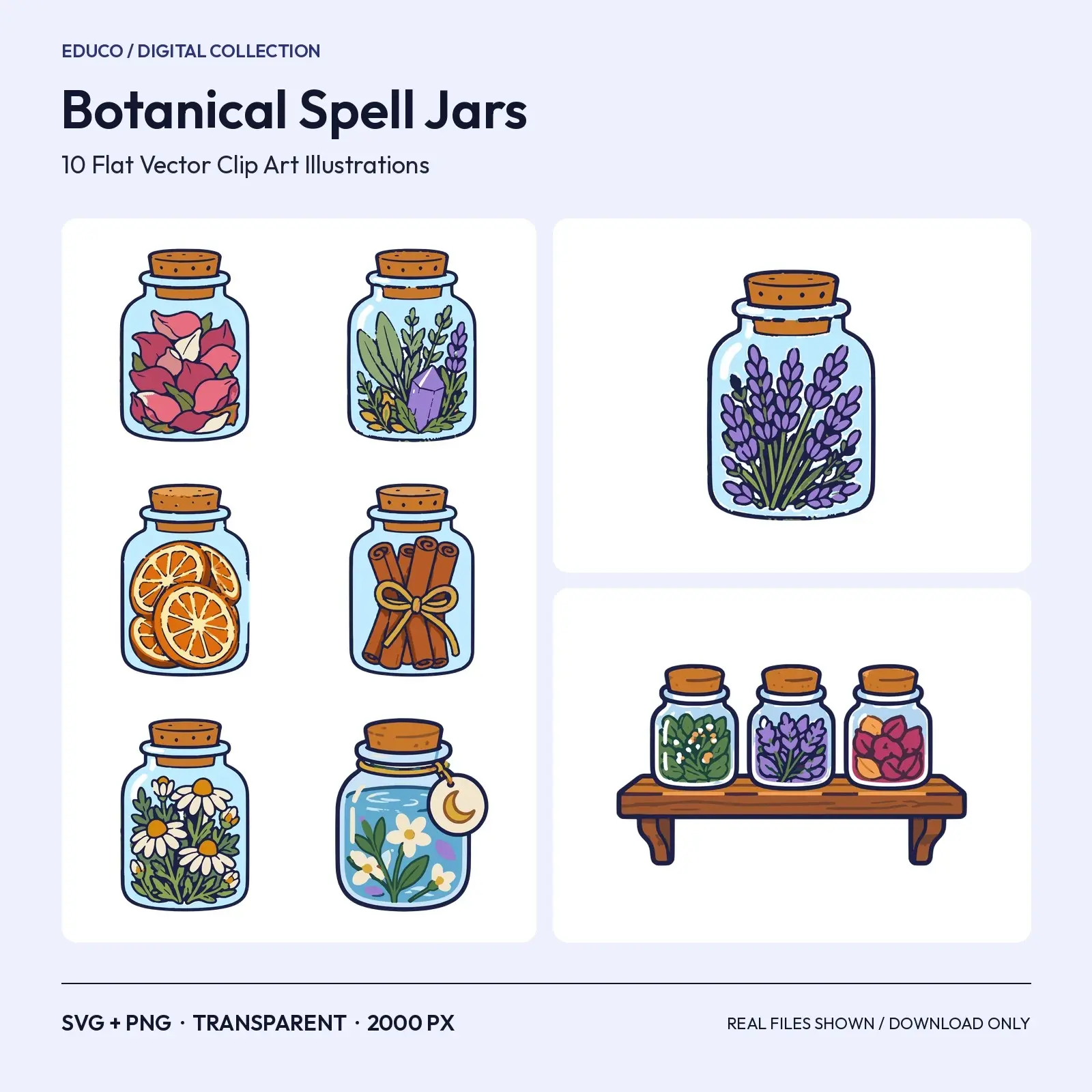 Botanical Spell Jars Clip Art – 10 Flat Vector Herb and Flower Jars preview