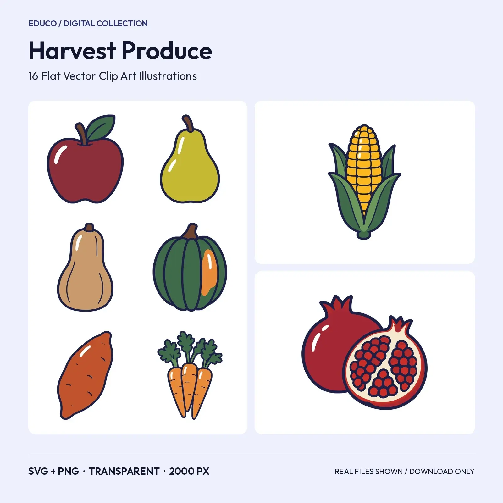 Harvest Produce Clip Art – 16 Flat Vector Fall Fruits and Vegetables preview