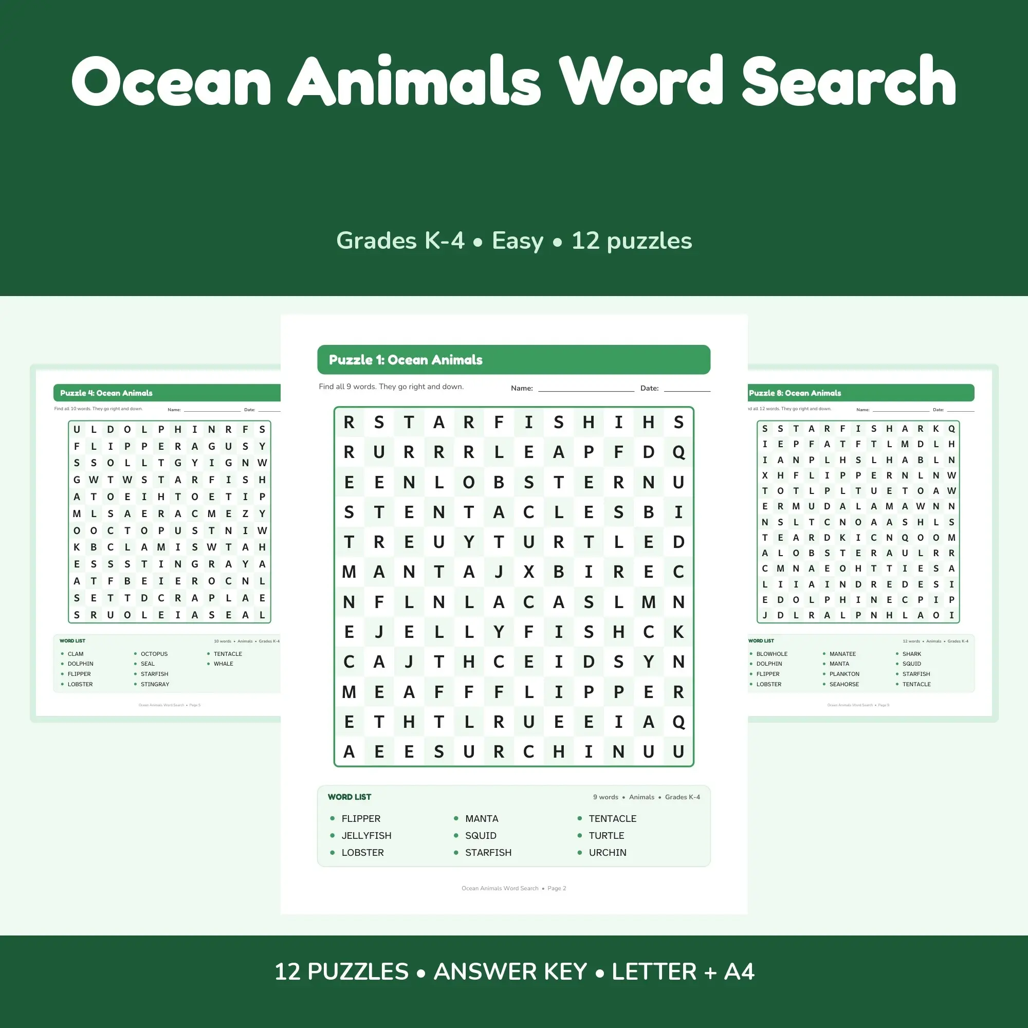 Ocean Animals Word Search Book - 12 Puzzles | Grades K-4 | Letter + A4 preview