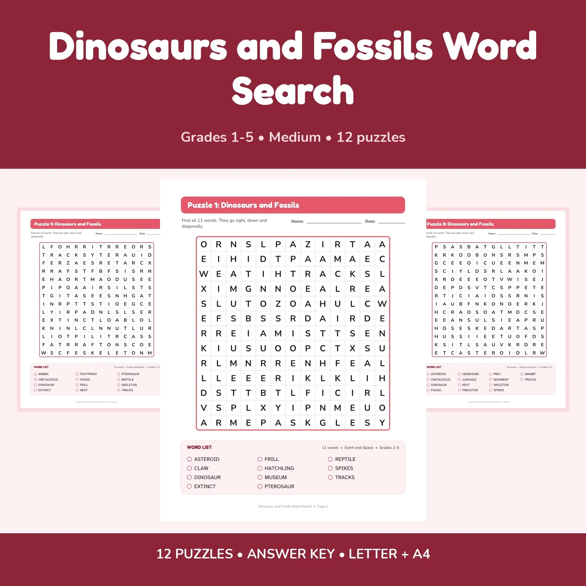 Dinosaurs and Fossils Word Search - 12 Puzzles for Grades 1-5 + Answer Key preview