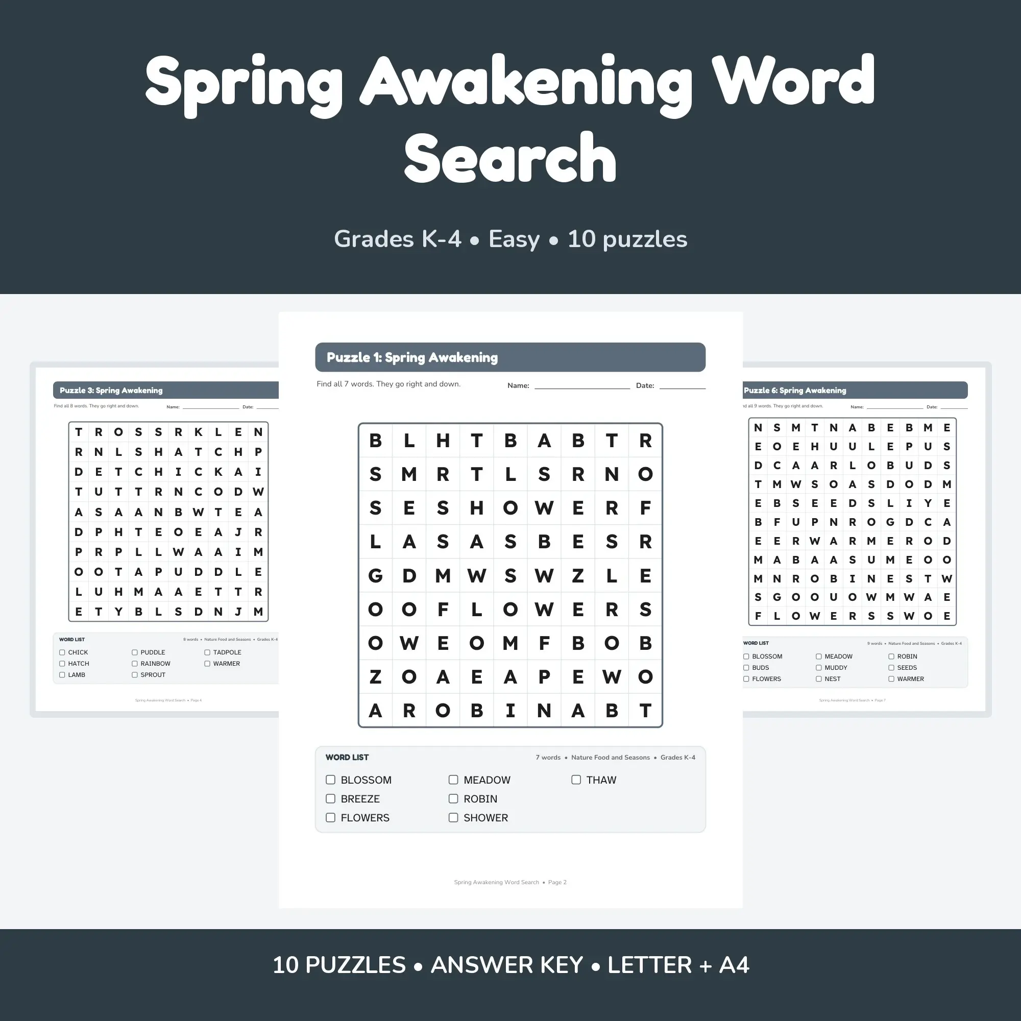 10 Spring Awakening Word Search Puzzles for Kids, Grades K-4 (Printable PDF) preview
