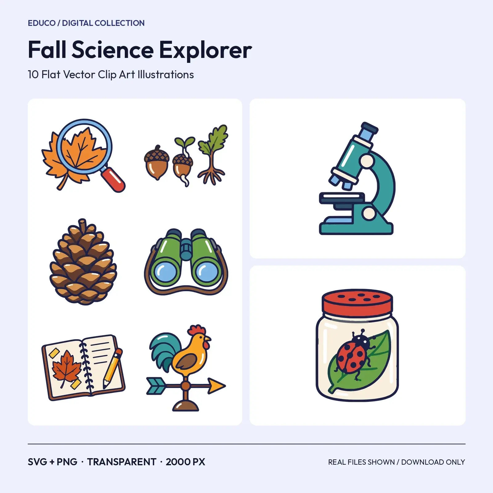 Fall Science Explorer Clip Art – 10 Flat Vector Nature Study Tools preview