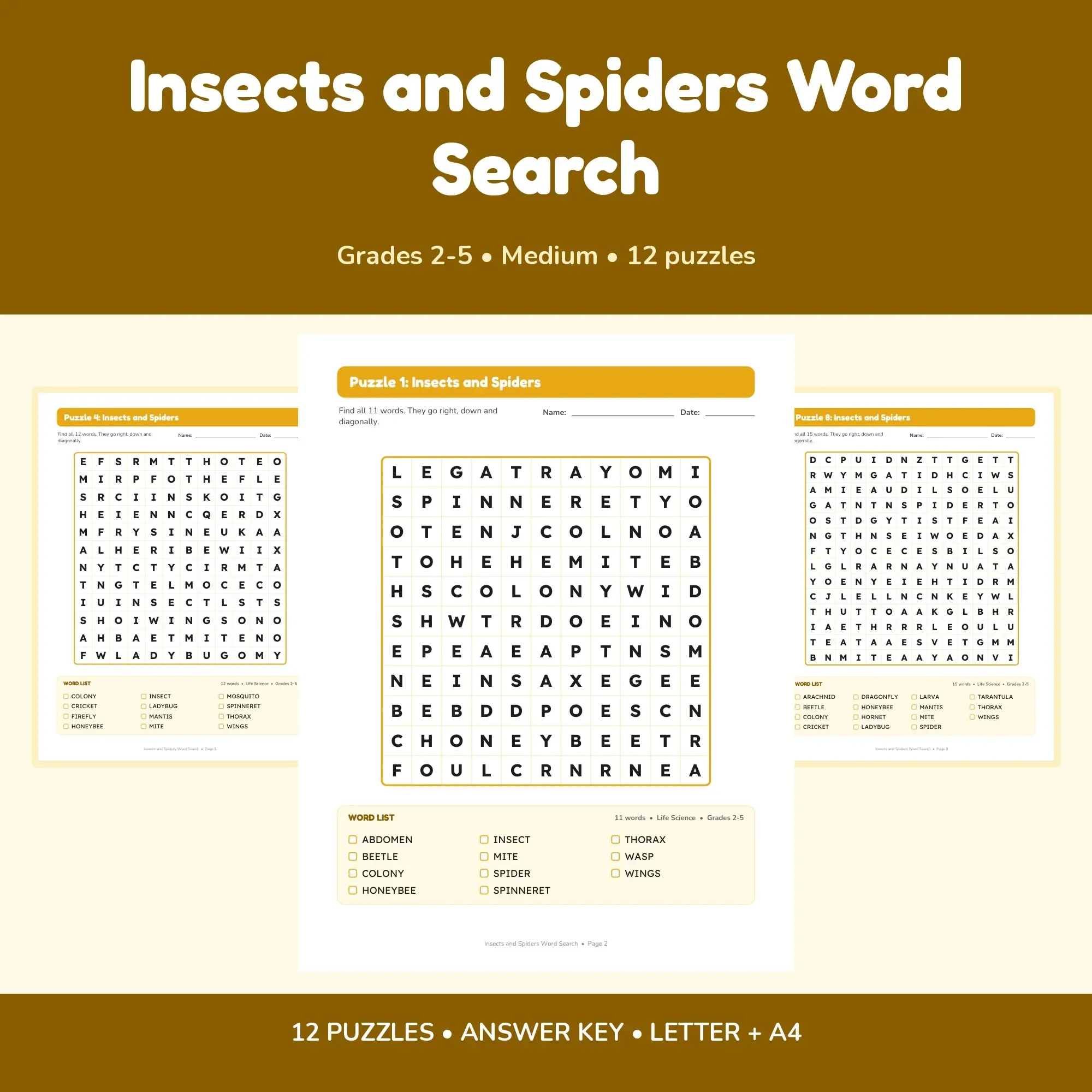 Insects and Spiders Word Search - 12 Puzzles for Grades 2-5 + Answer Key, preview 1 of 2