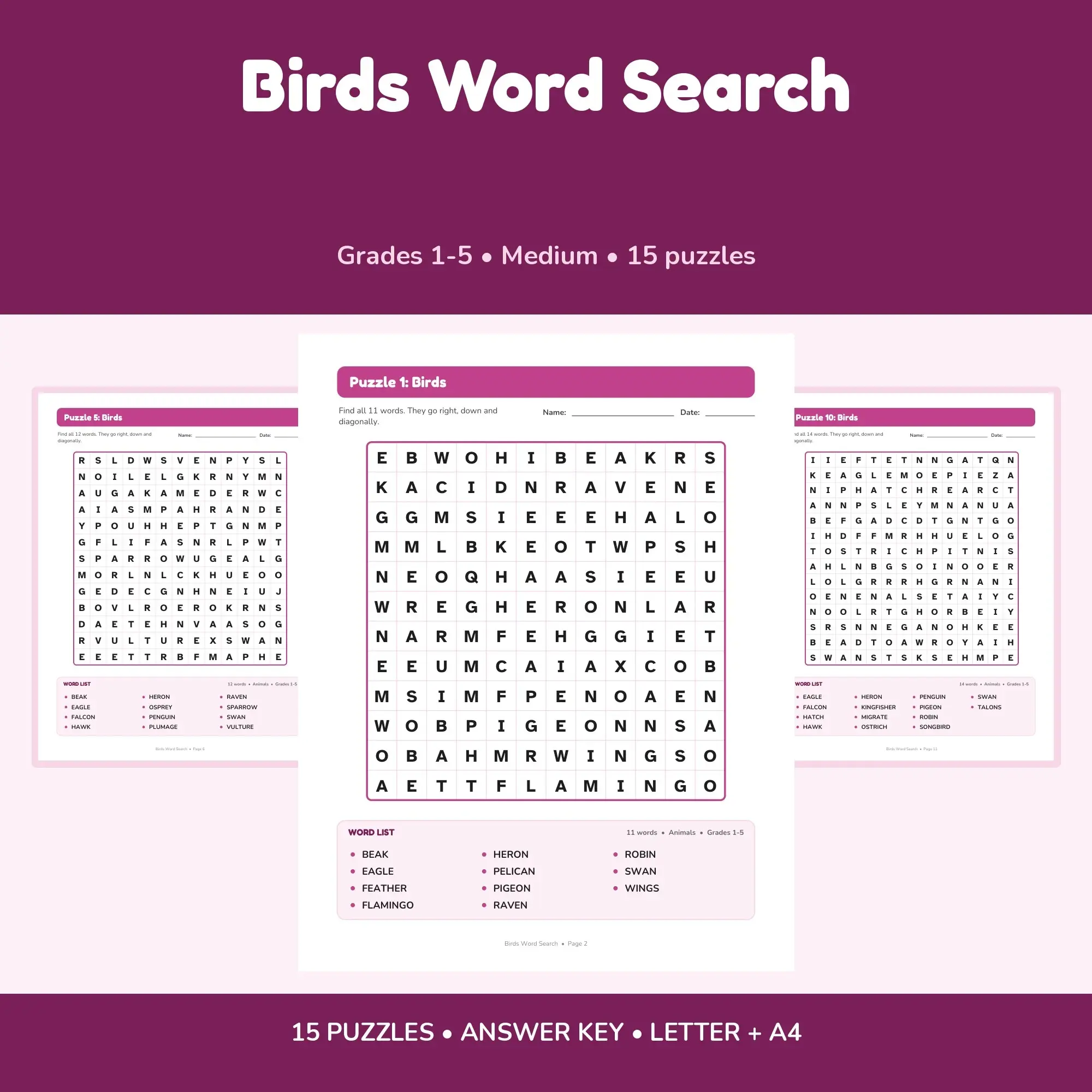 Birds Word Search Book - 15 Puzzles | Grades 1-5 | Letter + A4 preview
