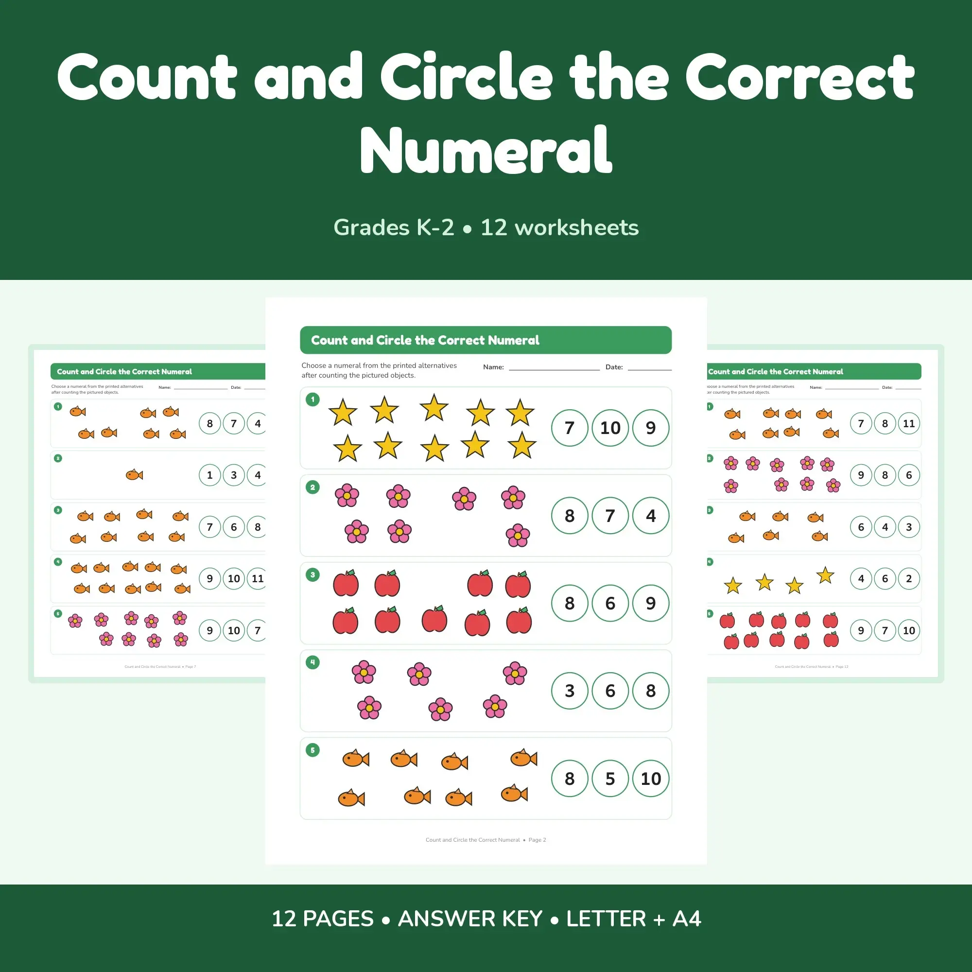 Count and Circle the Correct Numeral - 12 Worksheets + Key preview