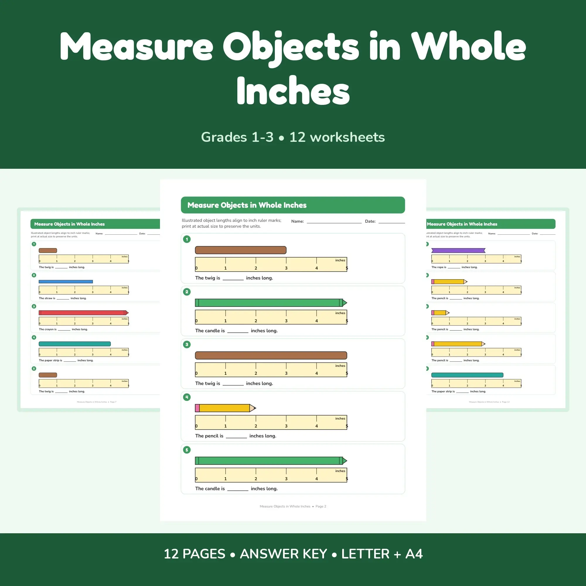 Measure Objects in Whole Inches - 12 Worksheets + Key preview