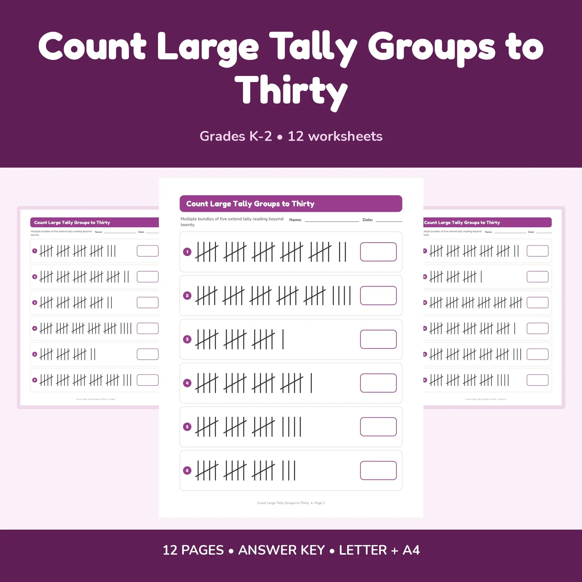 Count Large Tally Groups to Thirty - 12 Worksheets + Key preview