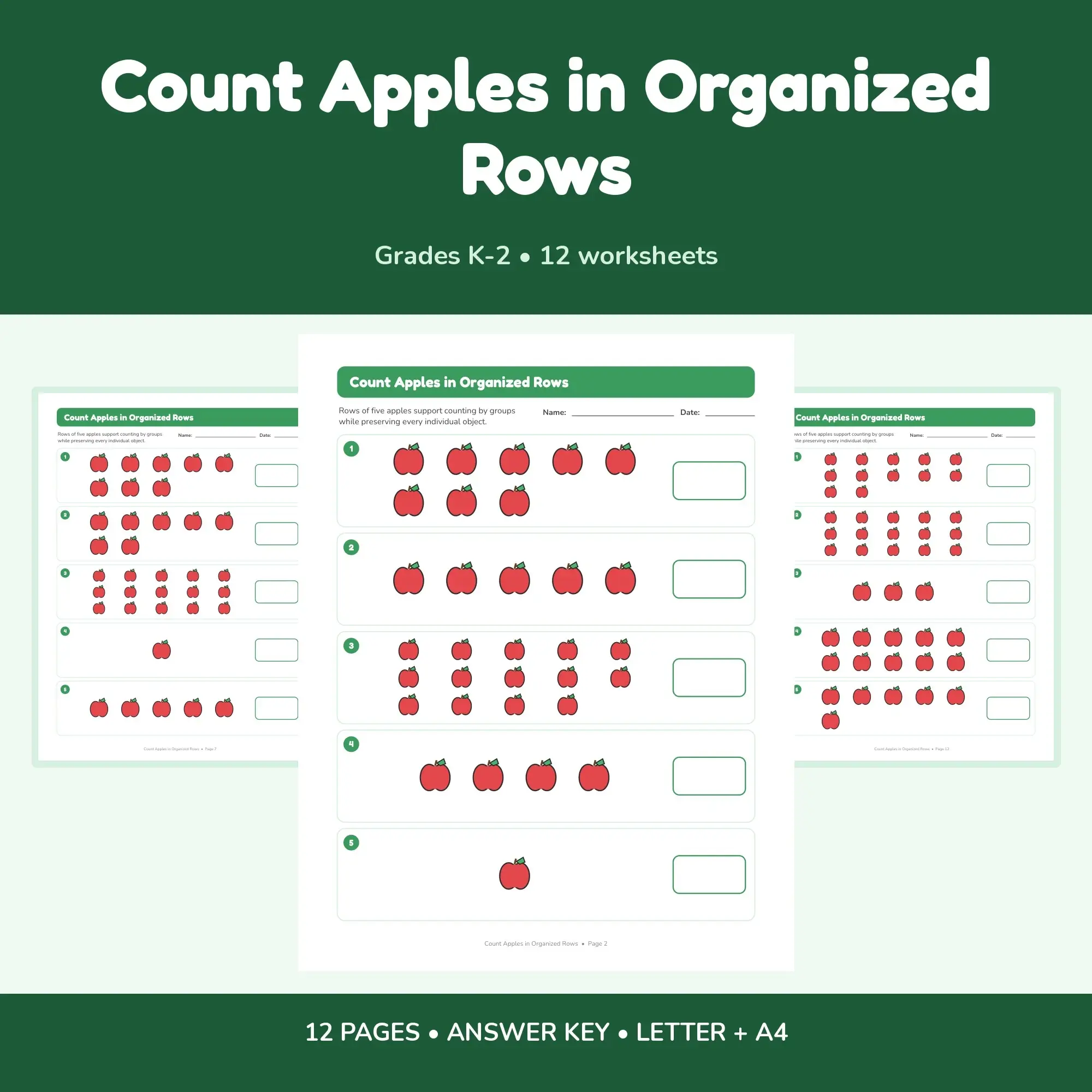 Count Apples in Organized Rows - 12 Worksheets + Key preview