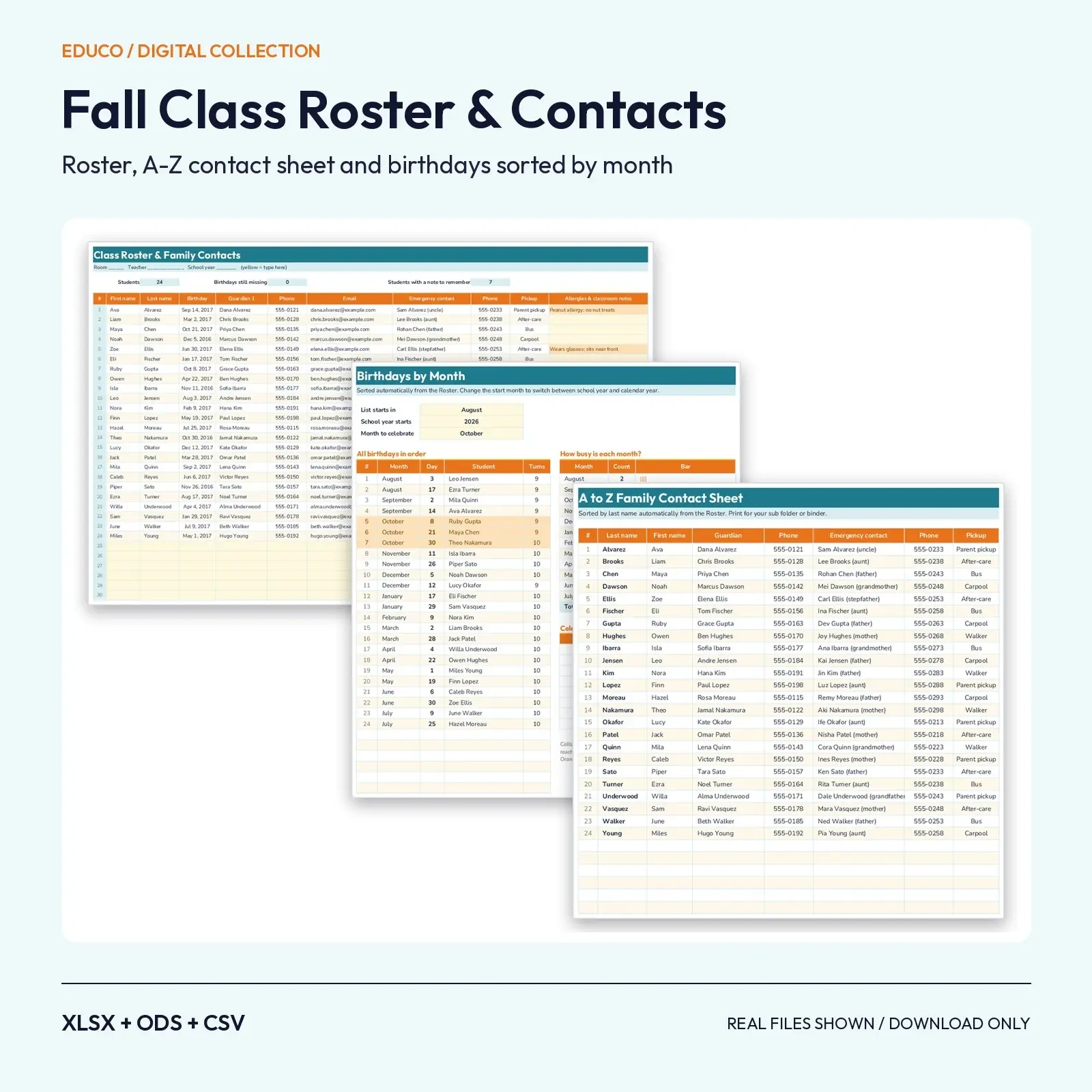 Fall Class Roster and Family Contact Sheet – Excel Template with Birthdays Sorted by Month, preview 1 of 4
