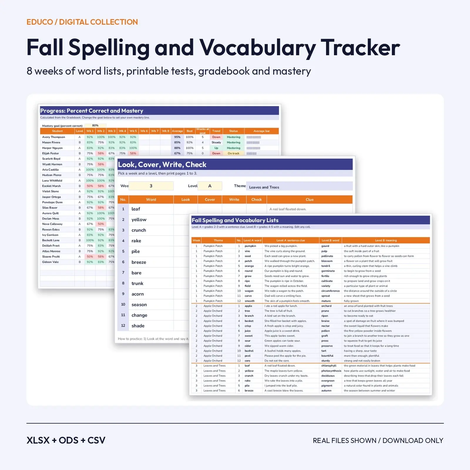 Fall Spelling and Vocabulary Tracker Spreadsheet – 8 Weeks of Word Lists, Weekly Tests and Mastery Gradebook preview