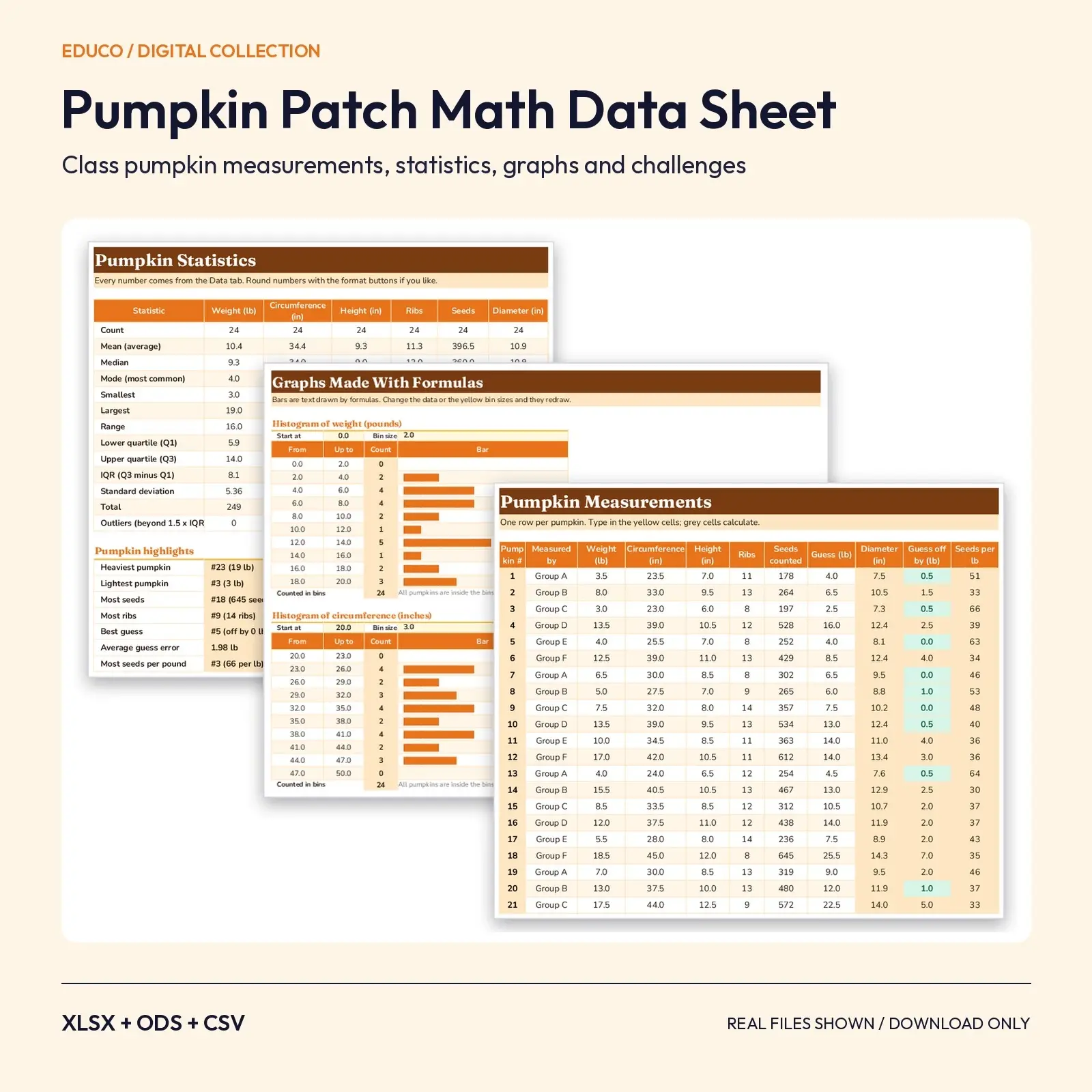 Pumpkin Patch Math Data Sheet – Class Pumpkin Measurement Spreadsheet with Statistics, Graphs and Challenges preview