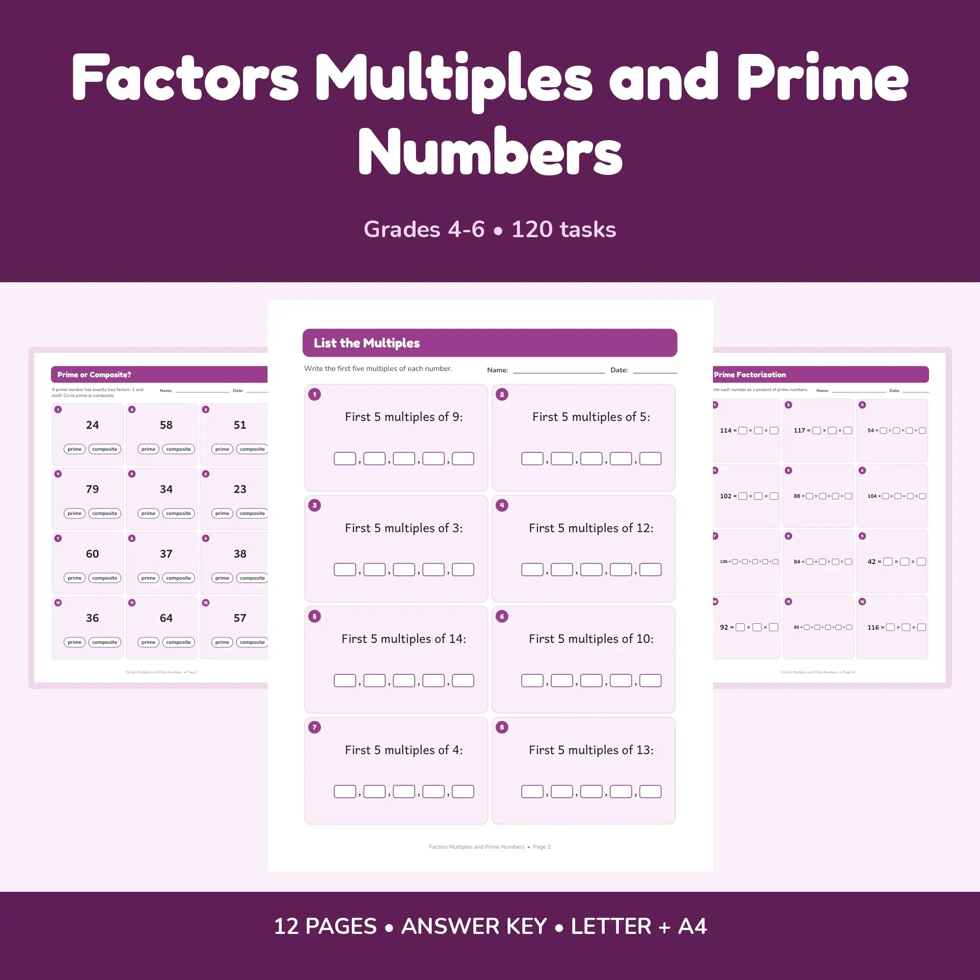 Factors Multiples and Prime Numbers - 12 Worksheets + Key preview