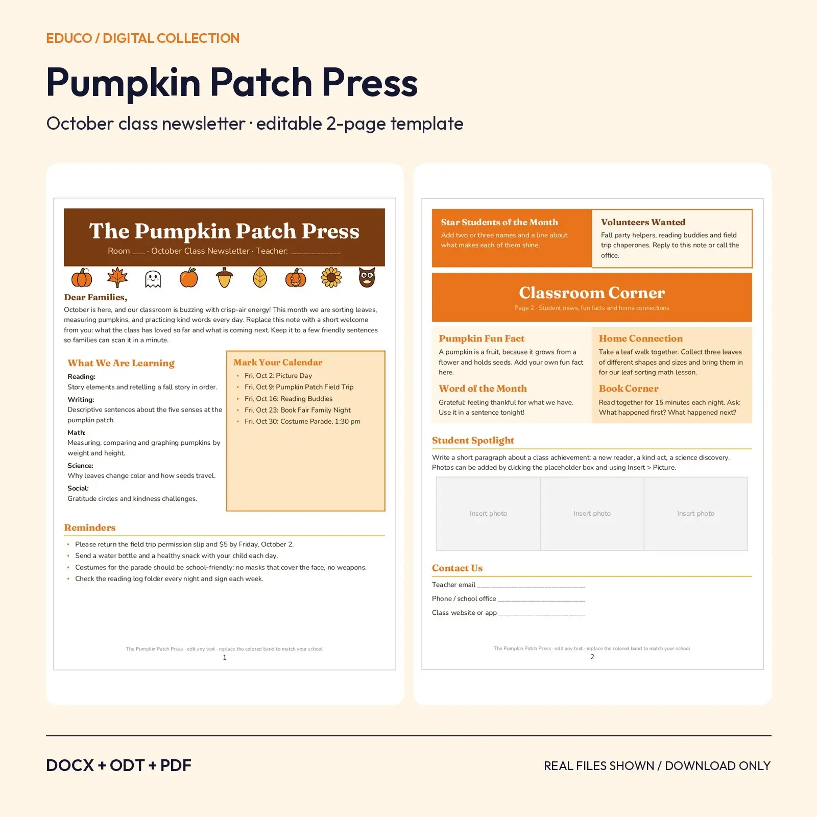 Pumpkin Patch Press October Class Newsletter – Editable 2-Page DOCX and ODT Template preview