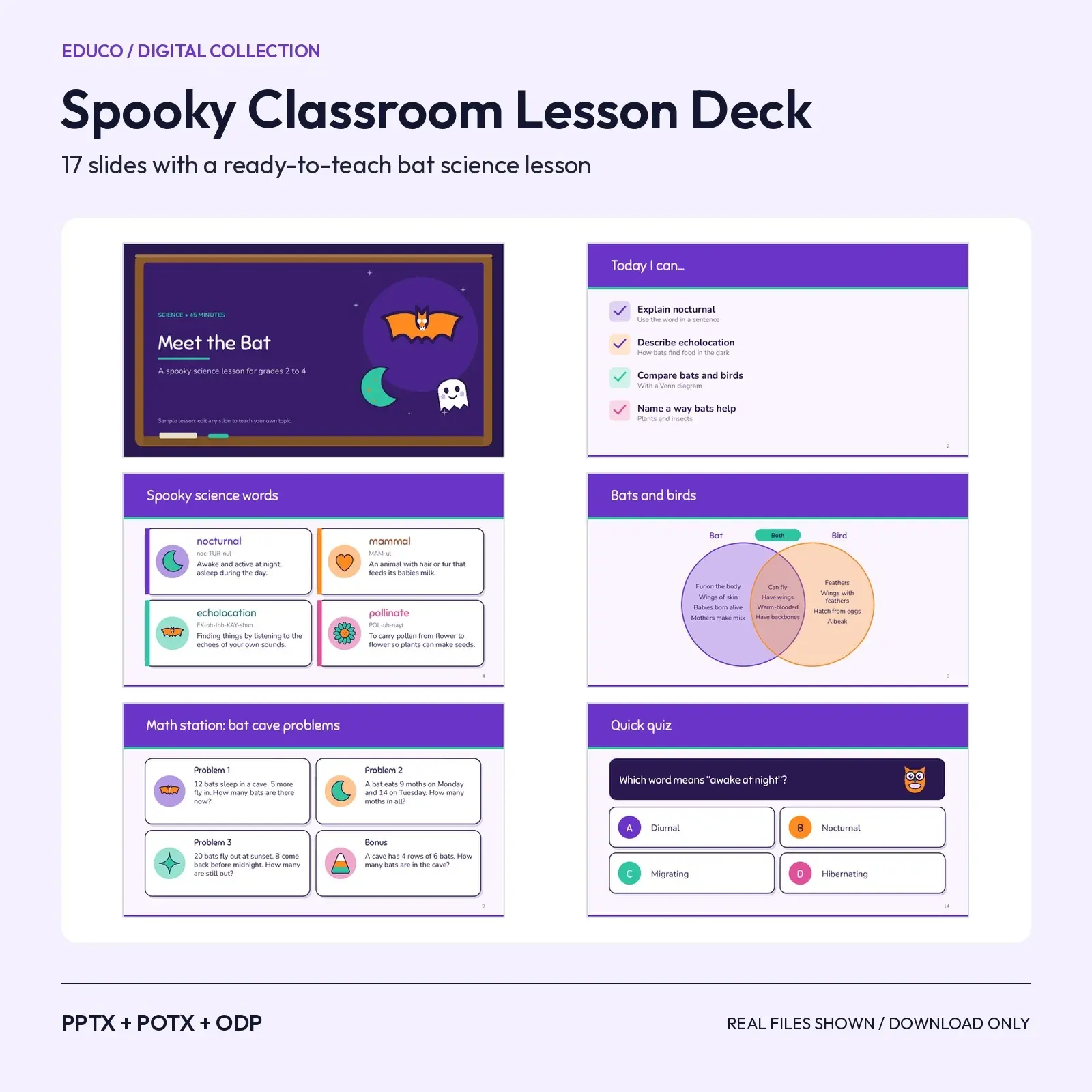 Spooky Classroom Lesson Deck – 17 Slide Teaching Template with a Bat Science Sample Lesson preview