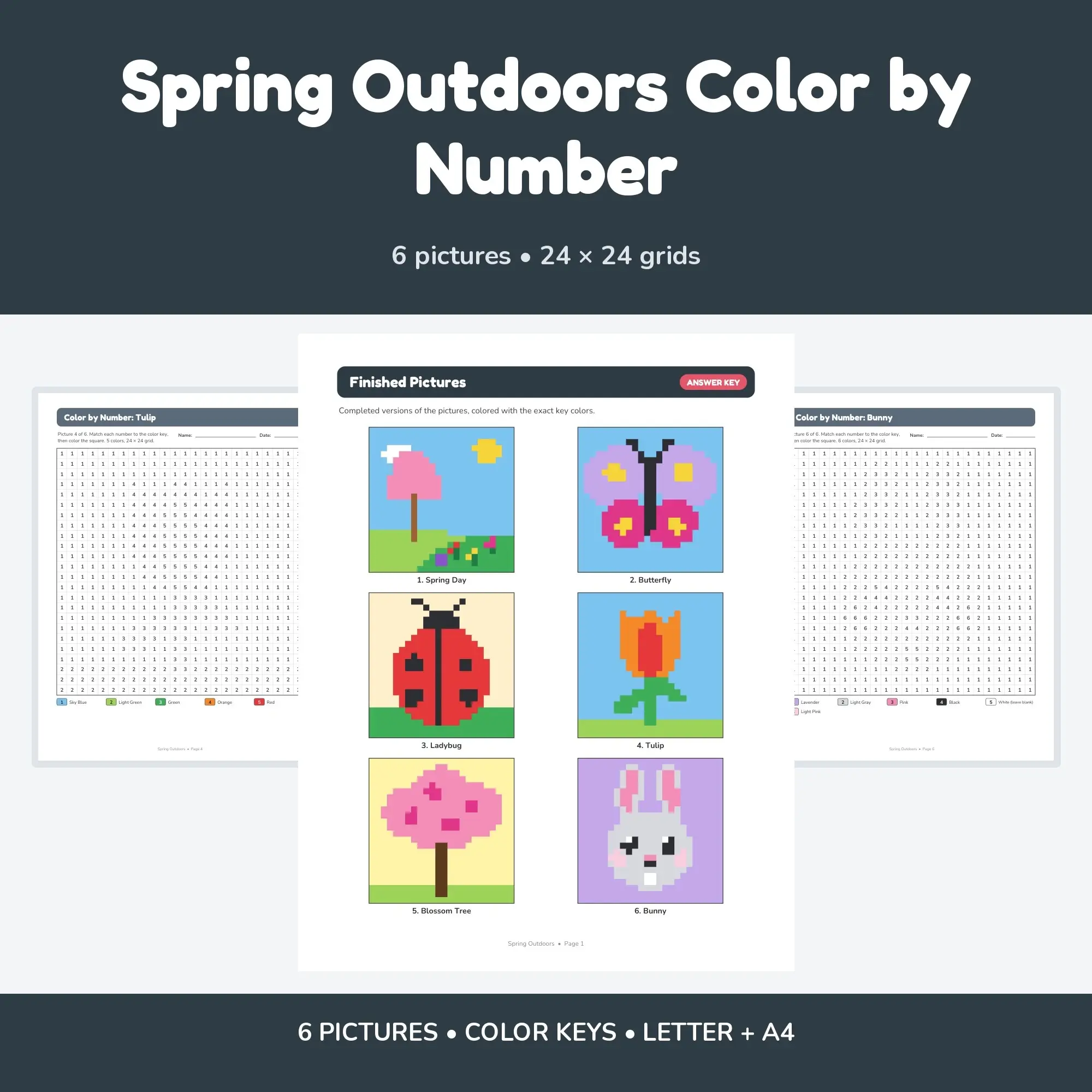Spring Outdoors Color by Number - 6 Pixel Pictures preview
