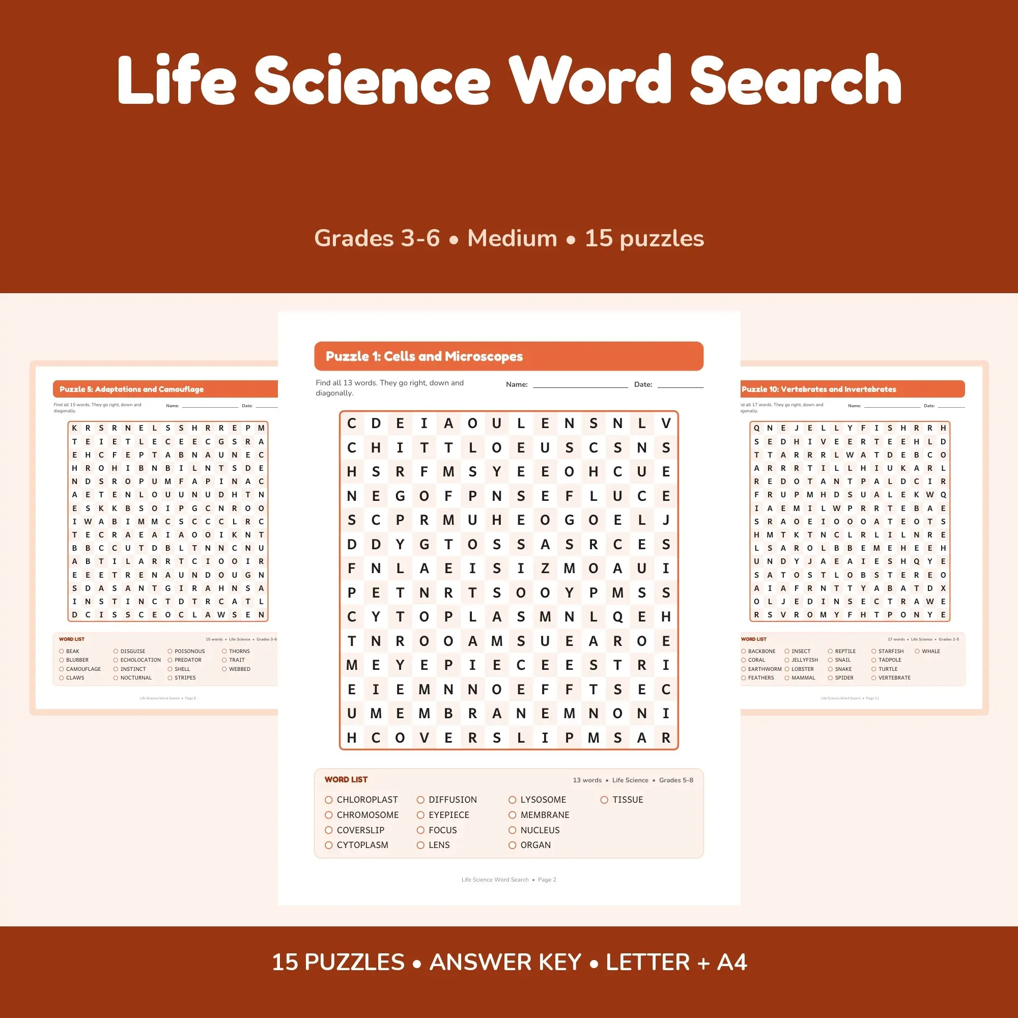 Life Science Vocabulary Word Search Bundle - 15 Printable Puzzles, Grades 3-6 preview