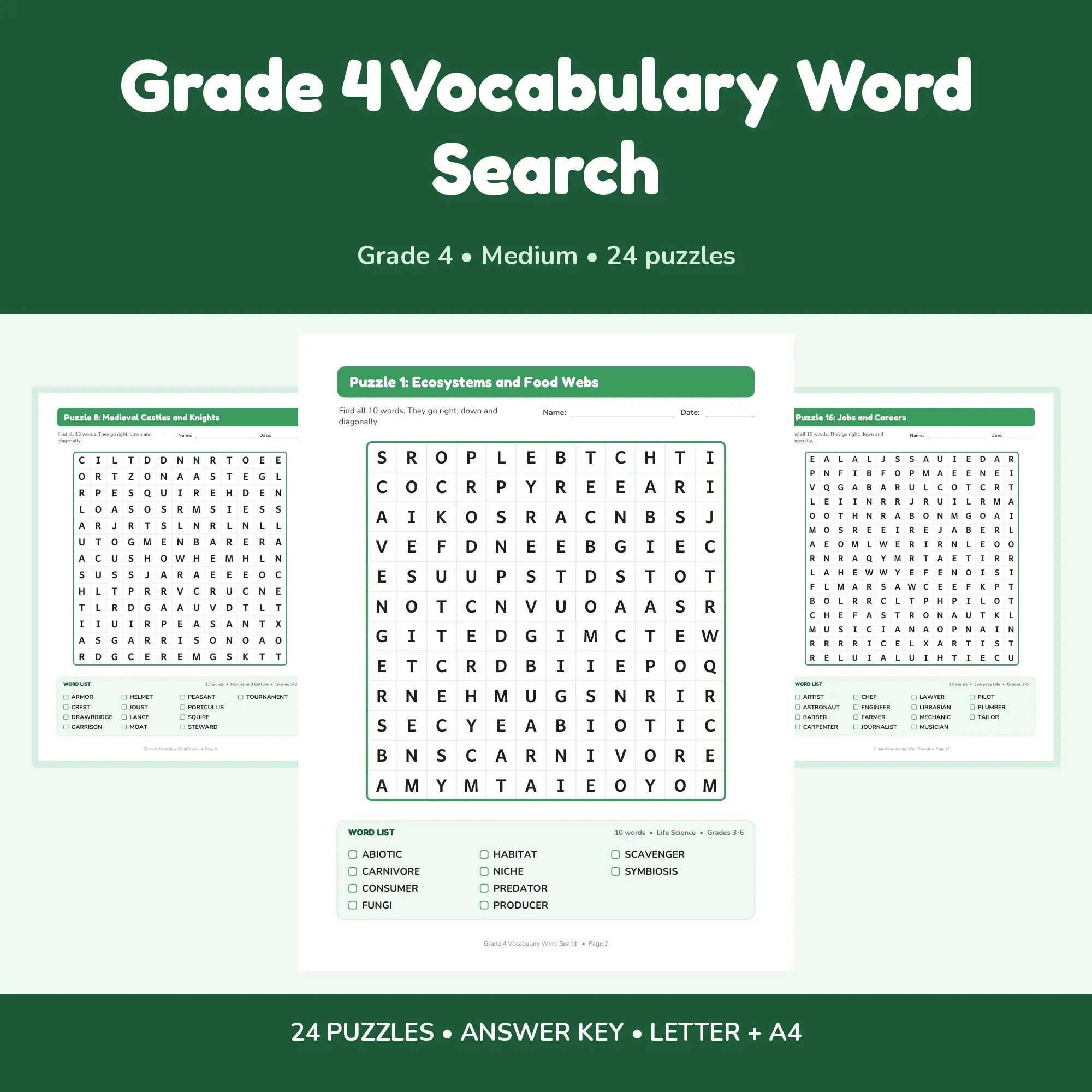 Grade 4 Vocabulary Word Search - 24 Puzzles + Answer Key preview
