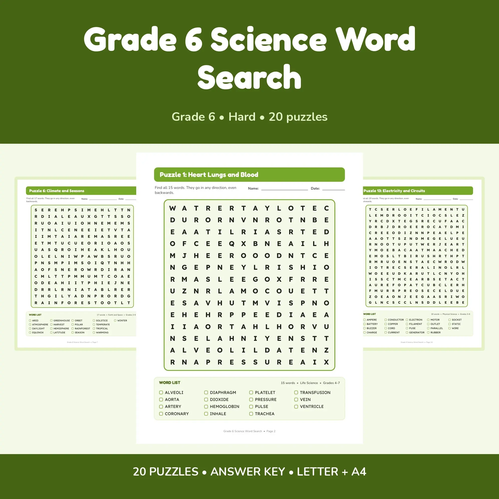 20 Grade 6 Science Word Search Puzzles - Printable PDF + Key preview
