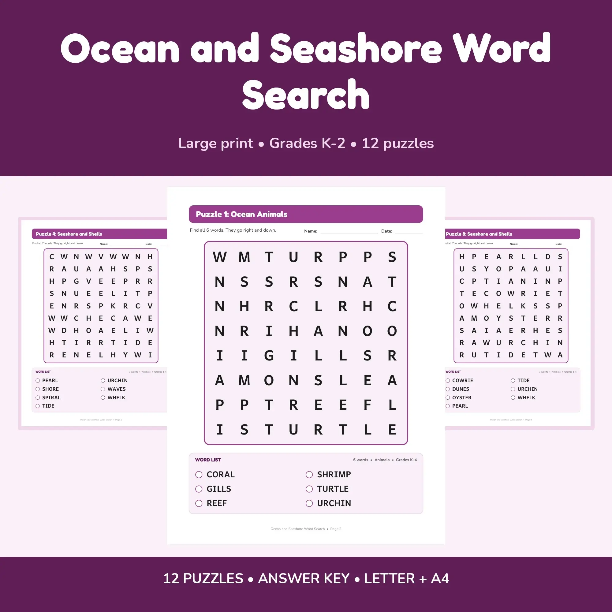 Easy Large Print Ocean and Seashore Word Search, Kindergarten to Grade 2 - 12 Puzzles preview