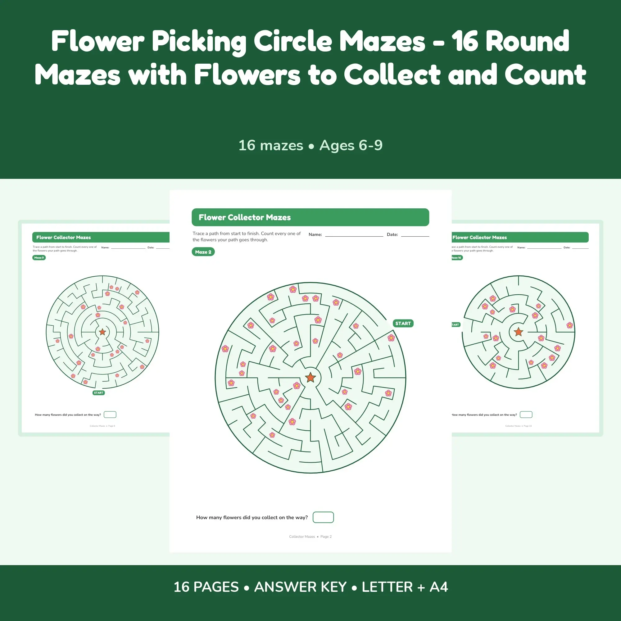 Flower Picking Circle Mazes - 16 Round Mazes with Flowers to Collect and Count preview