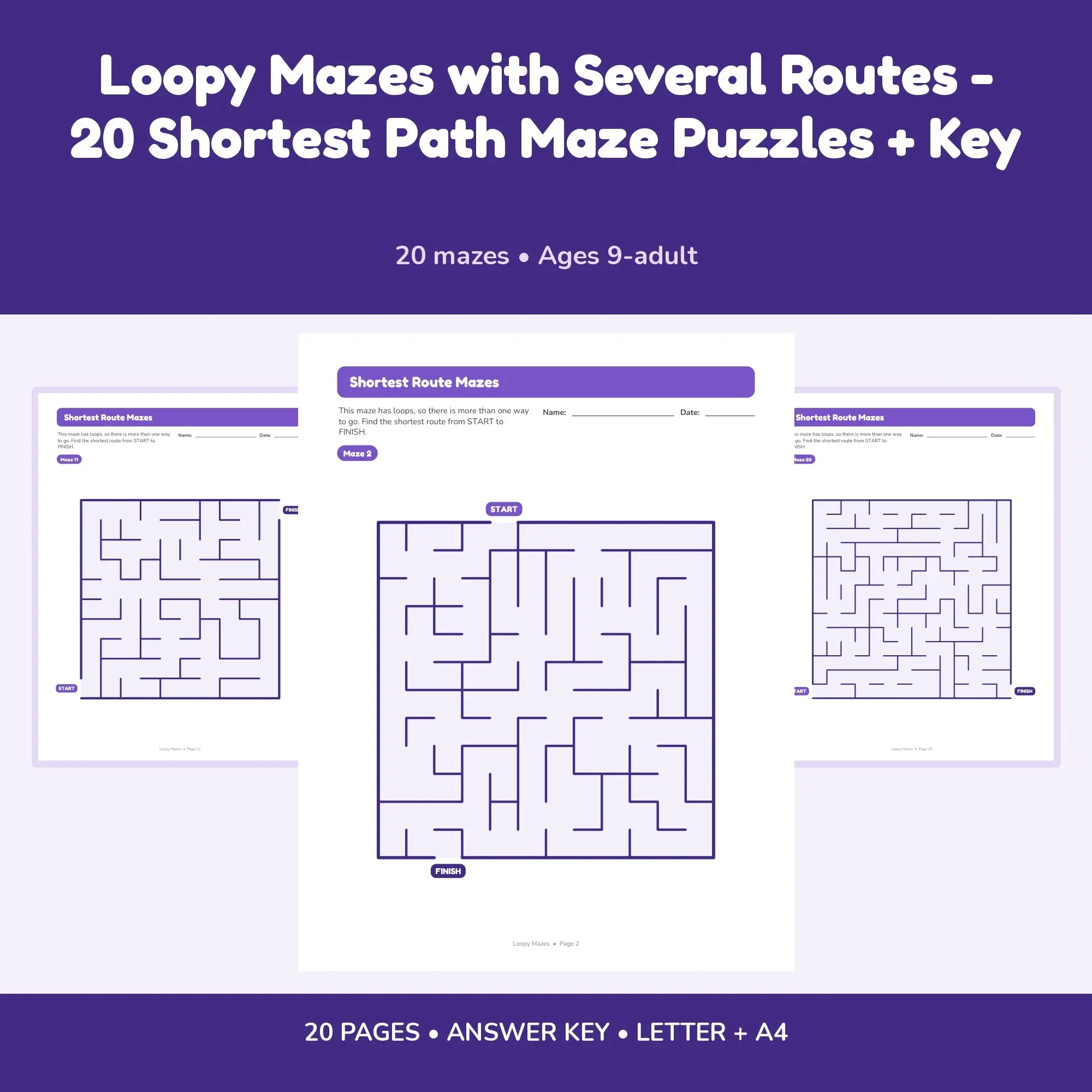 Loopy Mazes with Several Routes - 20 Shortest Path Maze Puzzles + Key preview