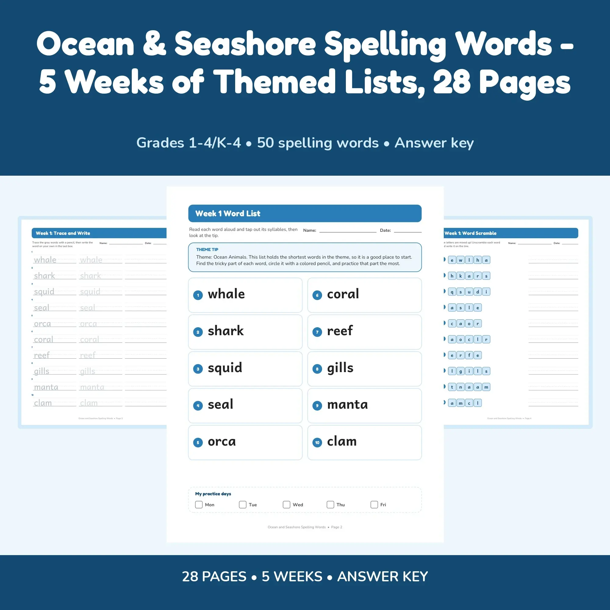 Ocean & Seashore Spelling Words - 5 Weeks of Themed Lists, 28 Pages preview