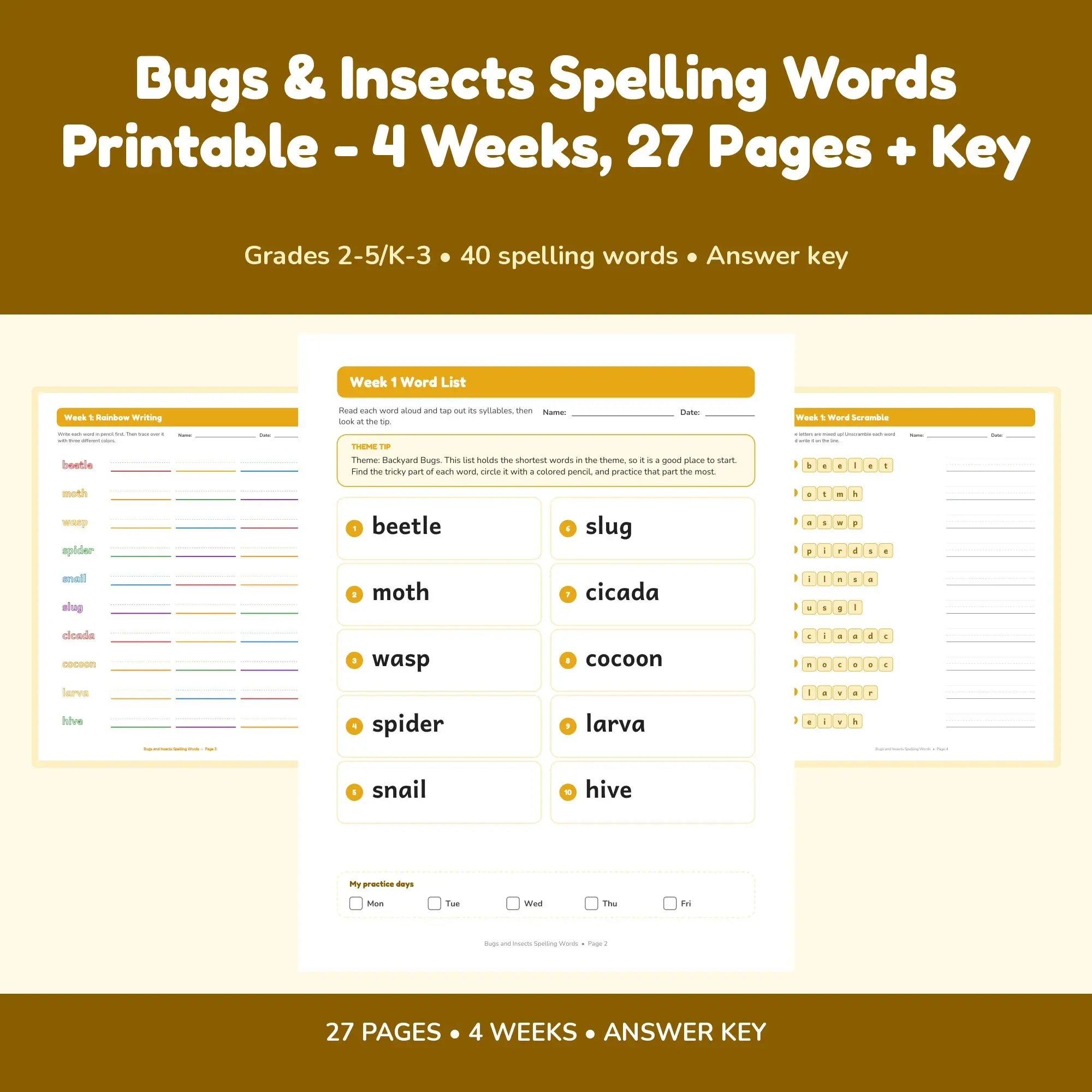 Bugs & Insects Spelling Words Printable - 4 Weeks, 27 Pages + Key preview
