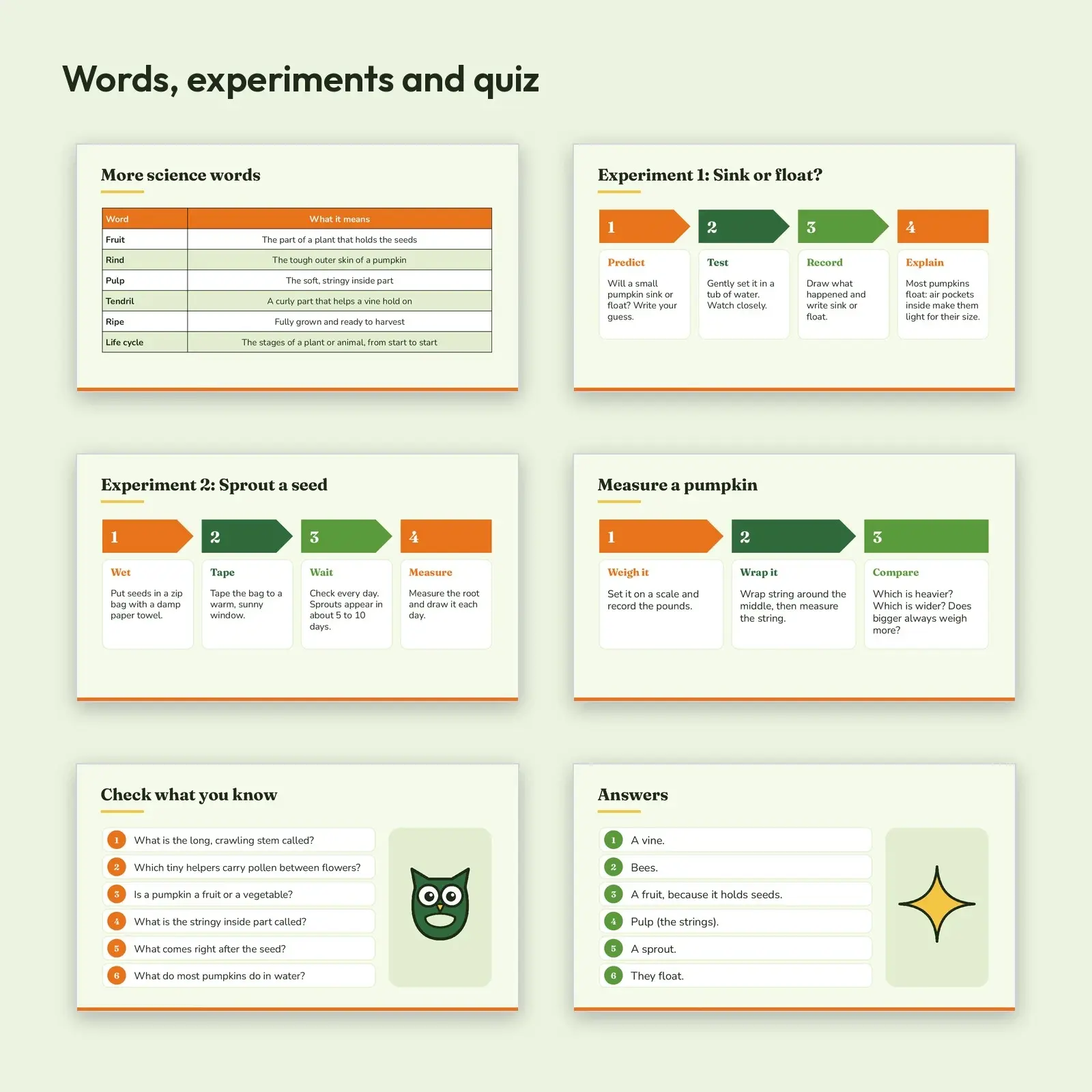 Pumpkin Life Cycle Science Lesson Slides – Seed to Pumpkin, Vocabulary, Experiments and Quiz, preview 3 of 4