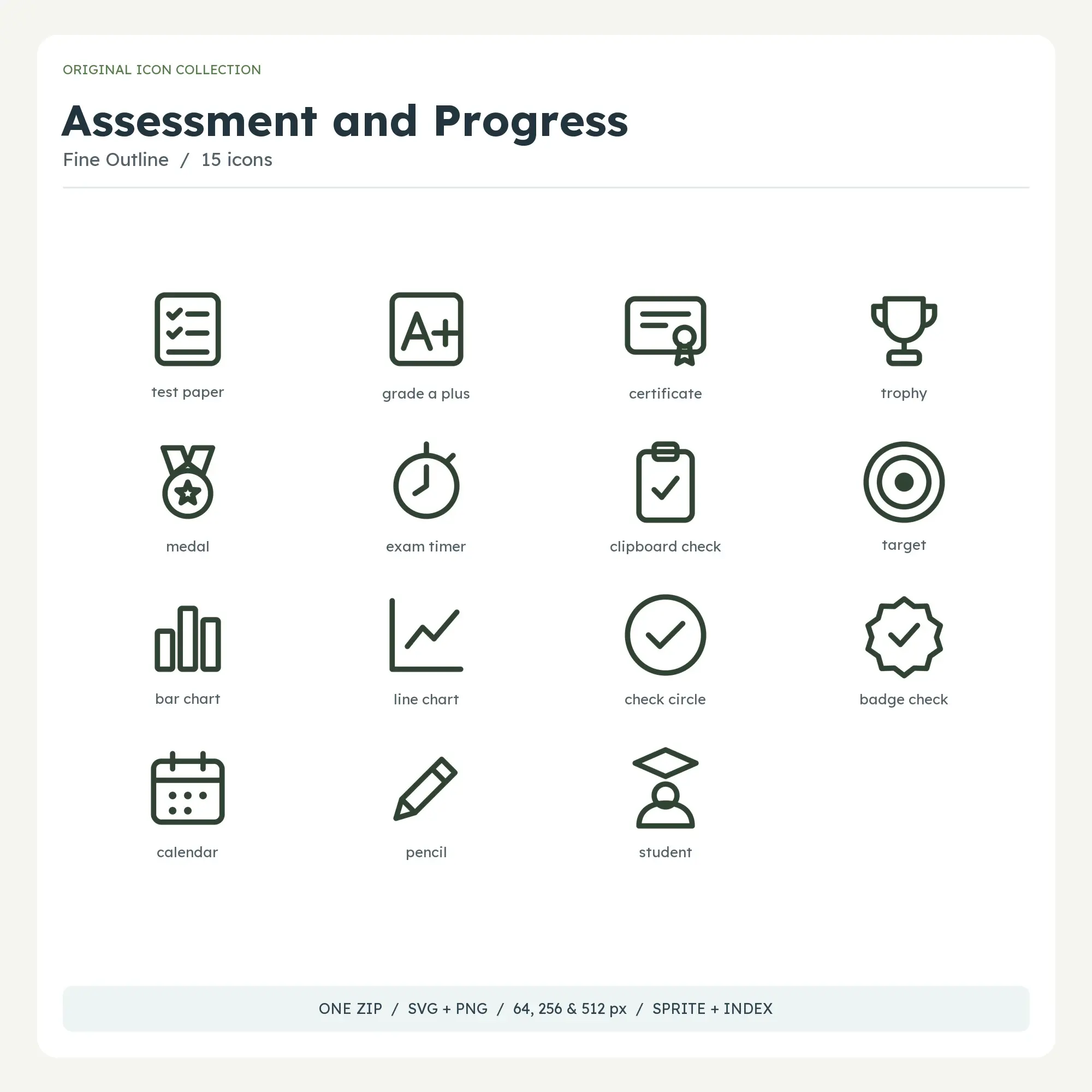 Assessment and Progress Icons - Fine Outline preview